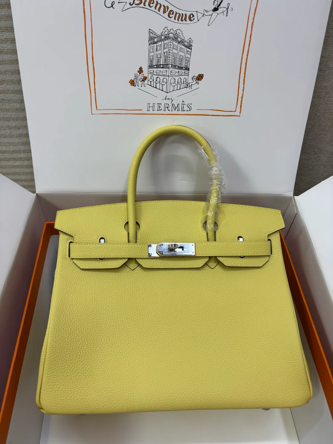 Классические Сумки Женские Hermes 18127424