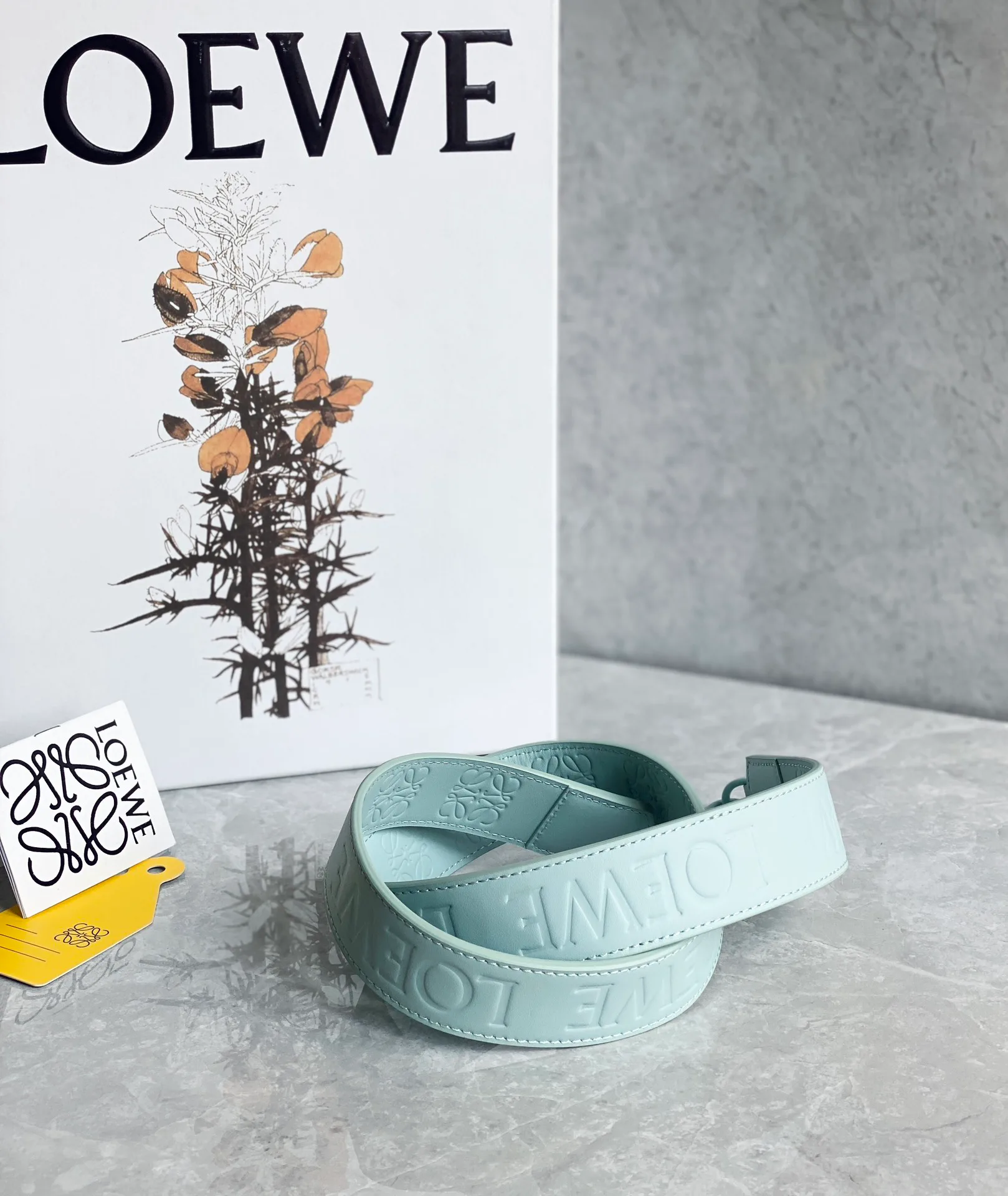 Классические Сумки Женские Loewe 10986854