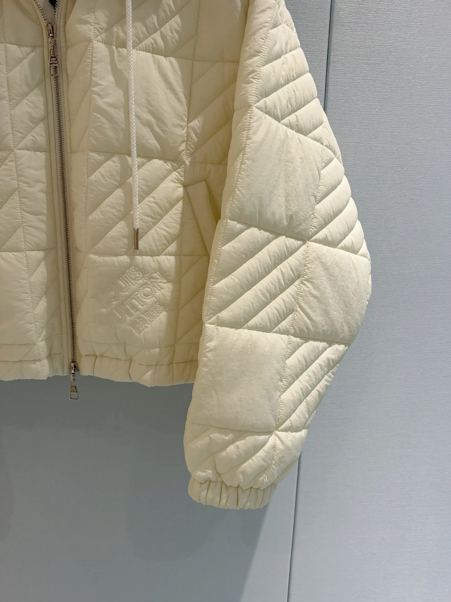Куртки И Пуховики Женские Louis Vuitton 18953463