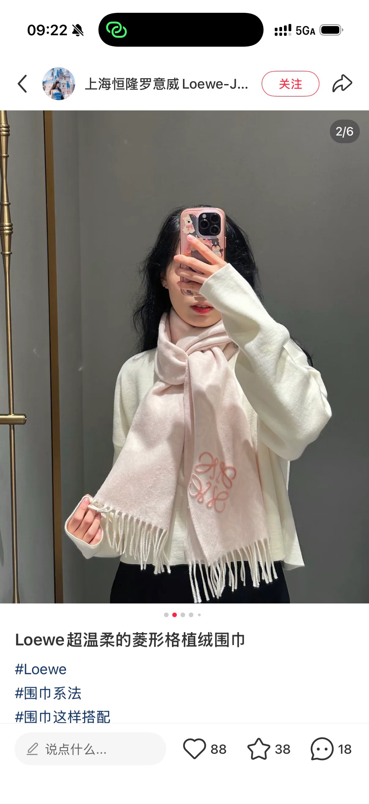 Шарфы Loewe 18141126