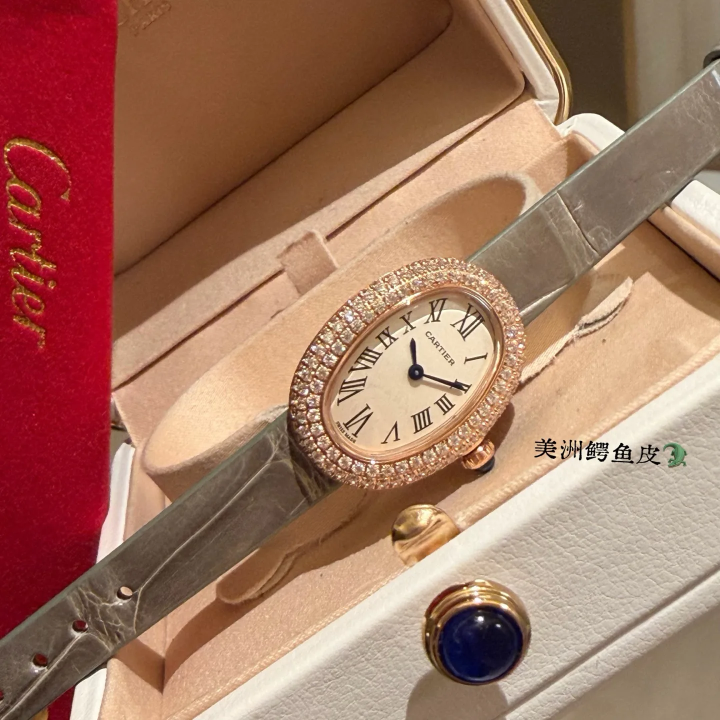 Часы Женские Cartier 596179