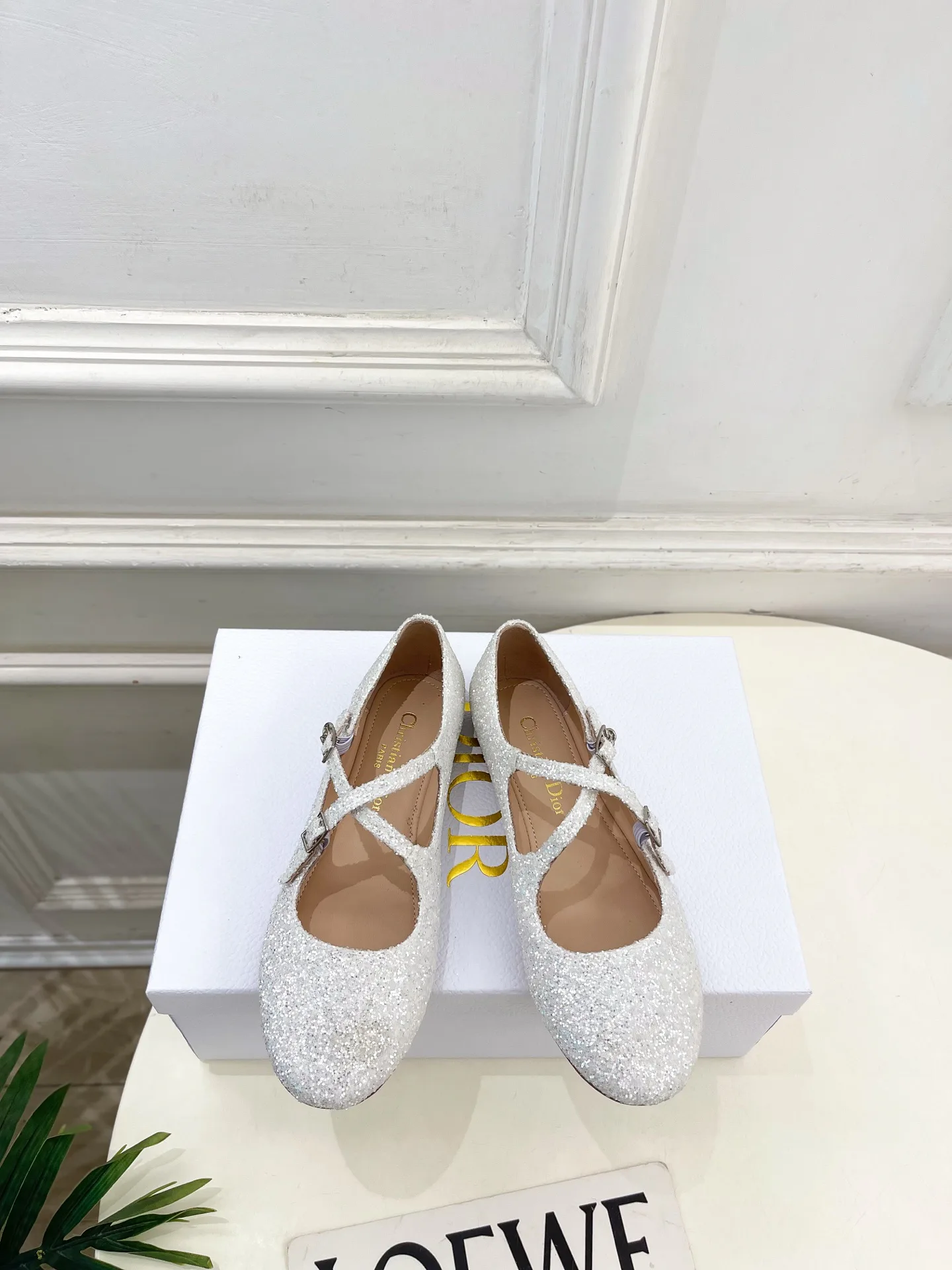 Балетки Женские Christian Dior 12601475