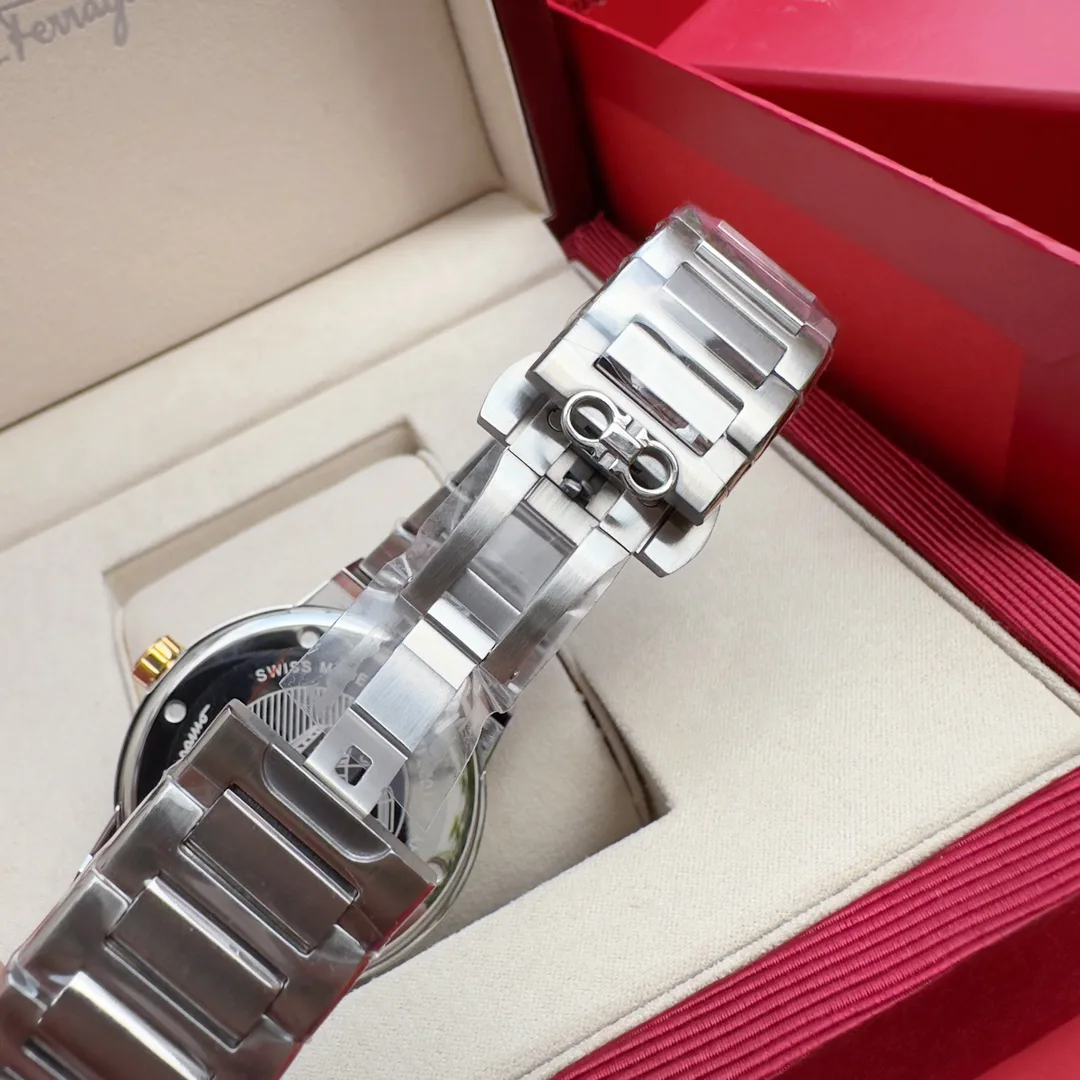 Часы Мужские Salvatore Ferragamo 1284234