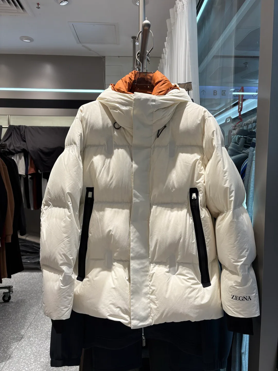 Куртки И Пуховики Мужские Zegna 932292