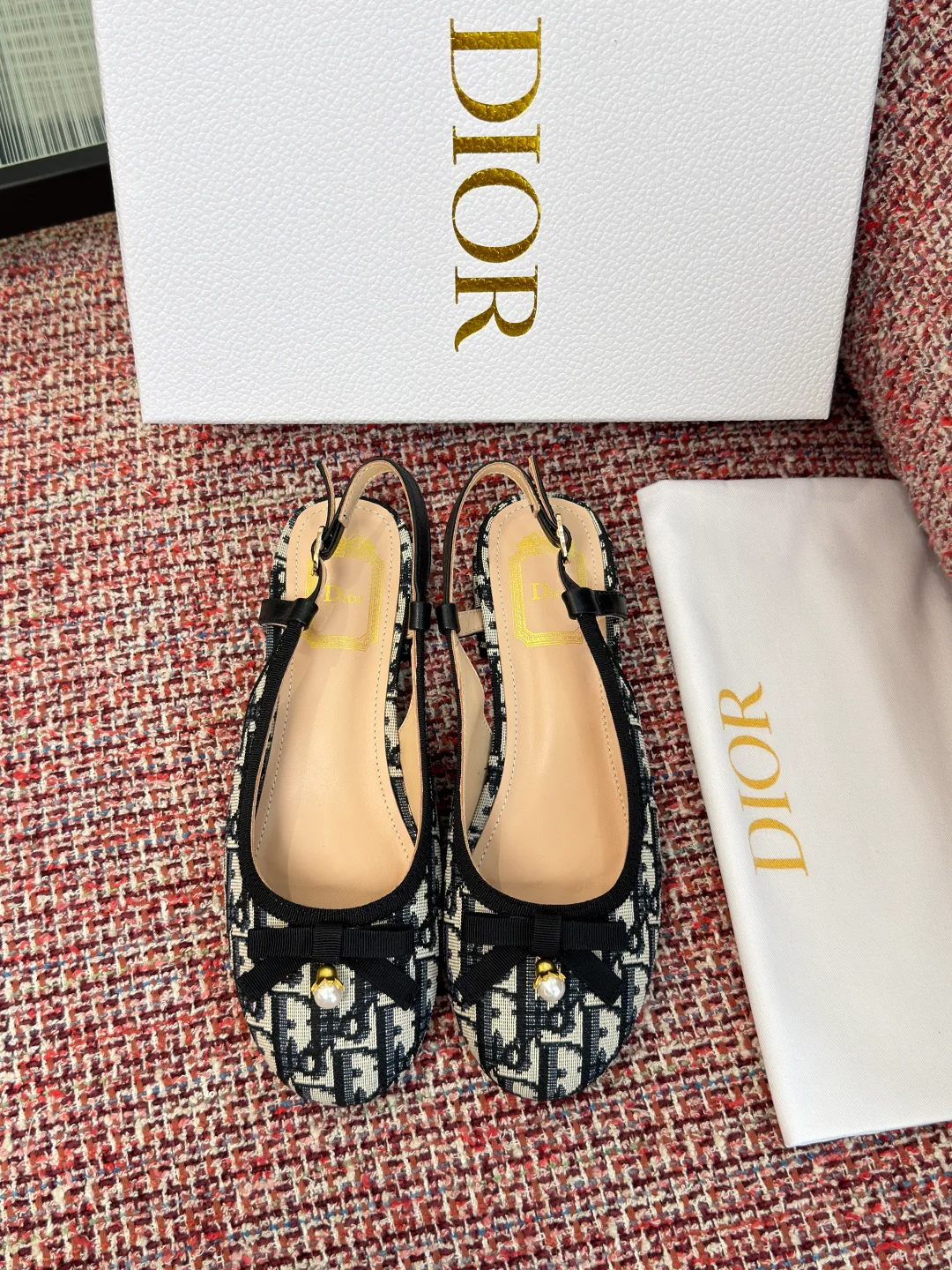 Туфли Женские Christian Dior 17571620