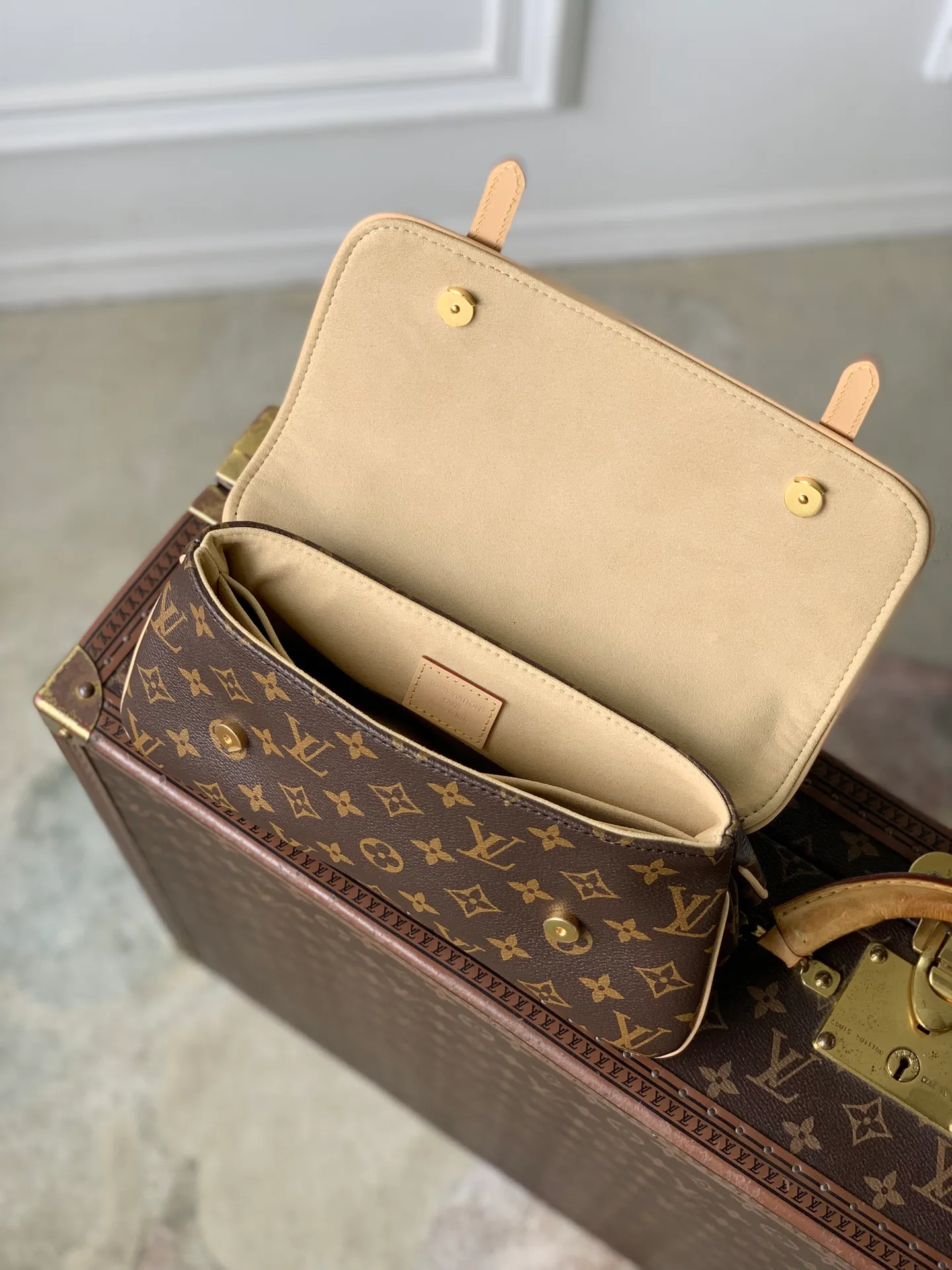 Классические Сумки Женские Louis Vuitton 18147432
