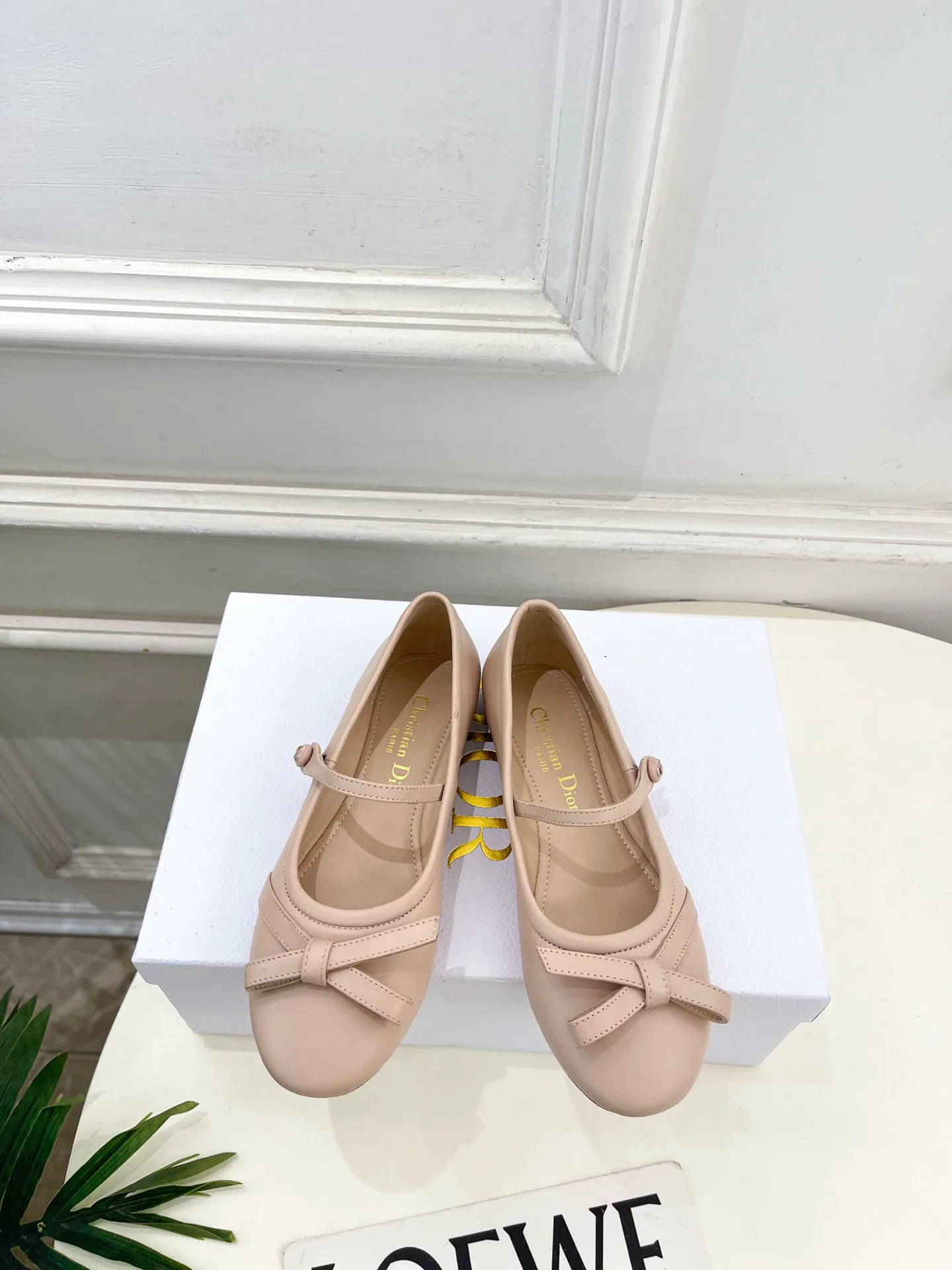 Туфли Женские Christian Dior 12601469