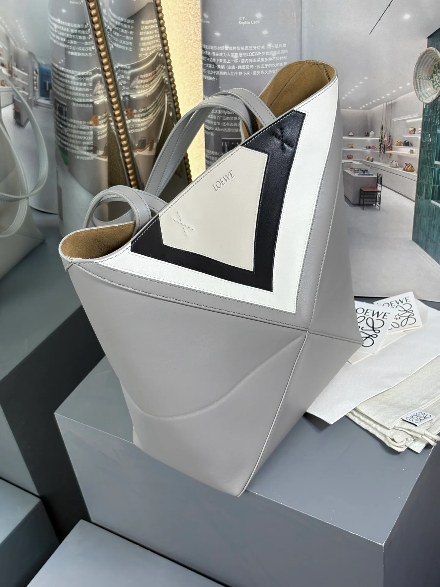 Сумки На Ремне Женские Loewe 418966