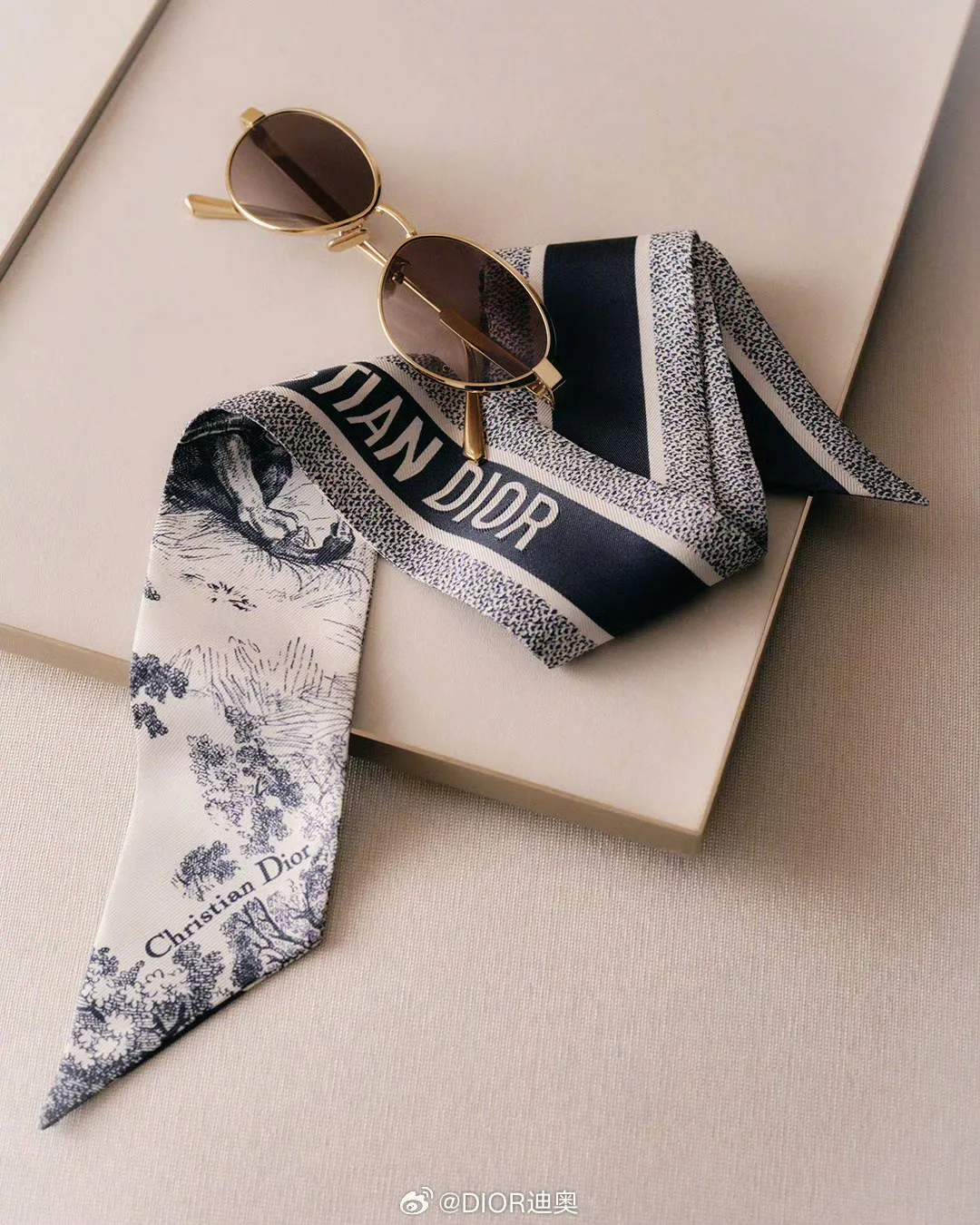 Очки Christian Dior 18567701
