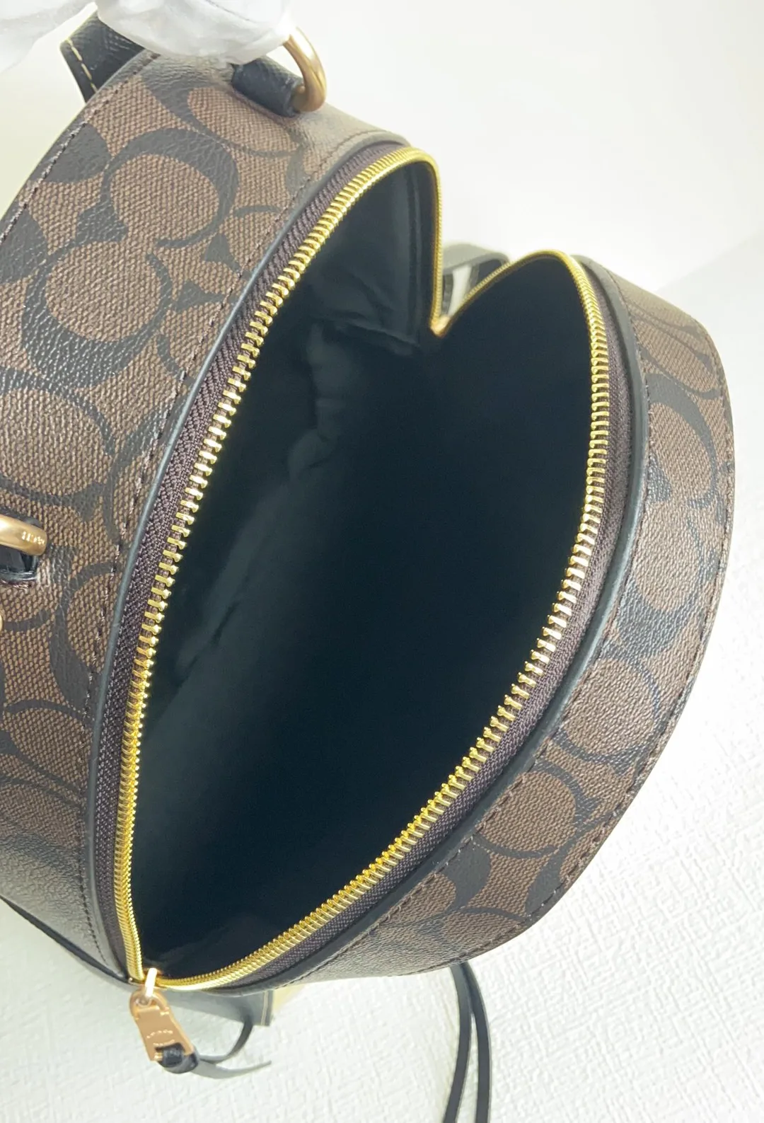 Рюкзаки Женские Coach 17325