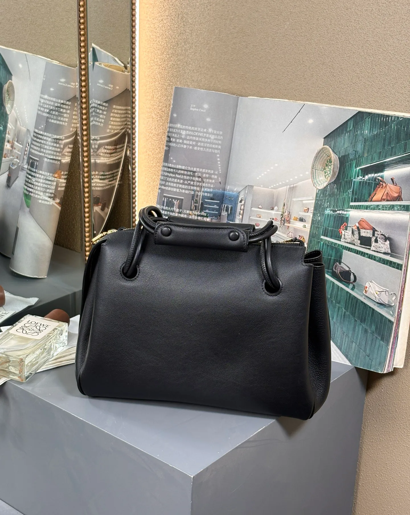 Классические Сумки Женские Loewe 11566867