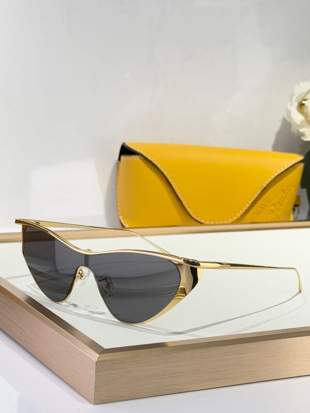 Очки Loewe 10609