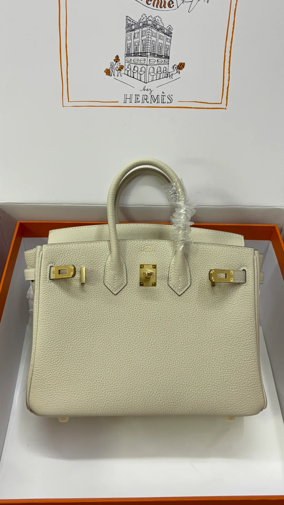 Классические Сумки Женские Hermes 17651603