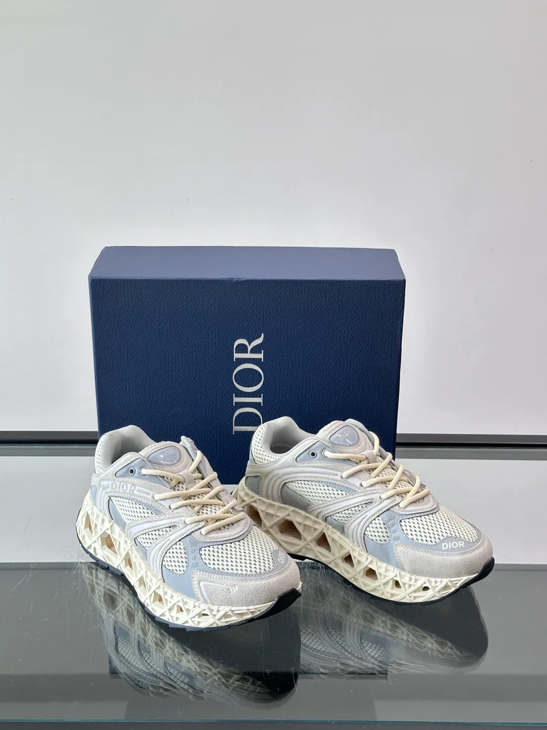 Кроссовки Женские Christian Dior 18102566