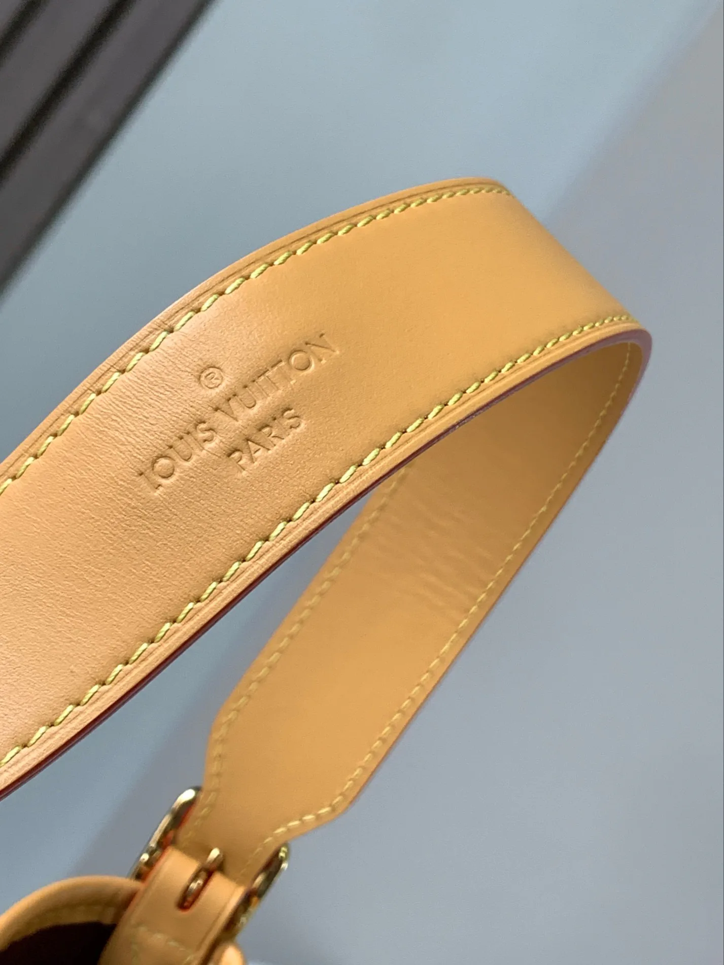 Классические Сумки Женские Louis Vuitton 18170475