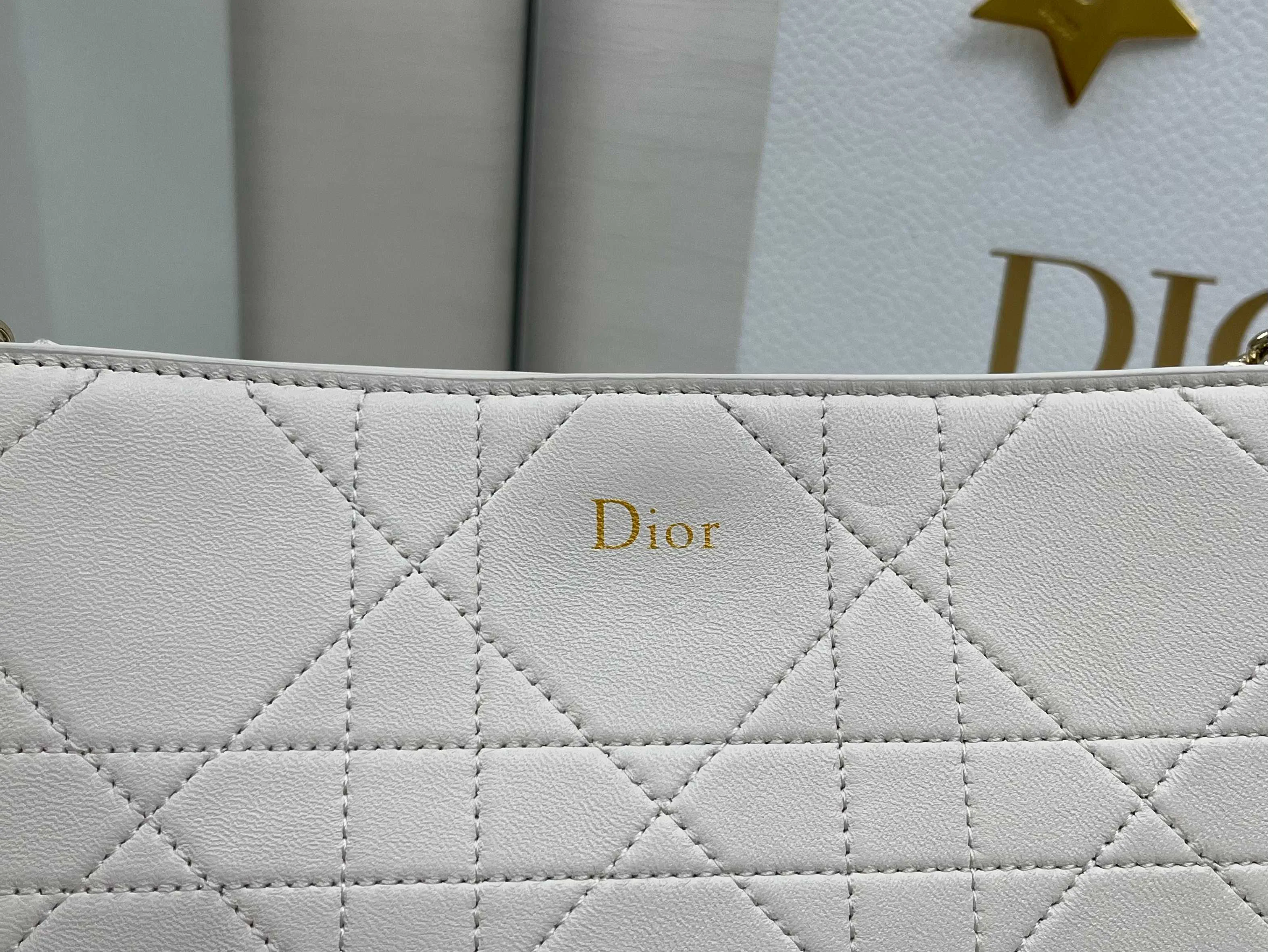 Классические Сумки Женские Christian Dior 13349530