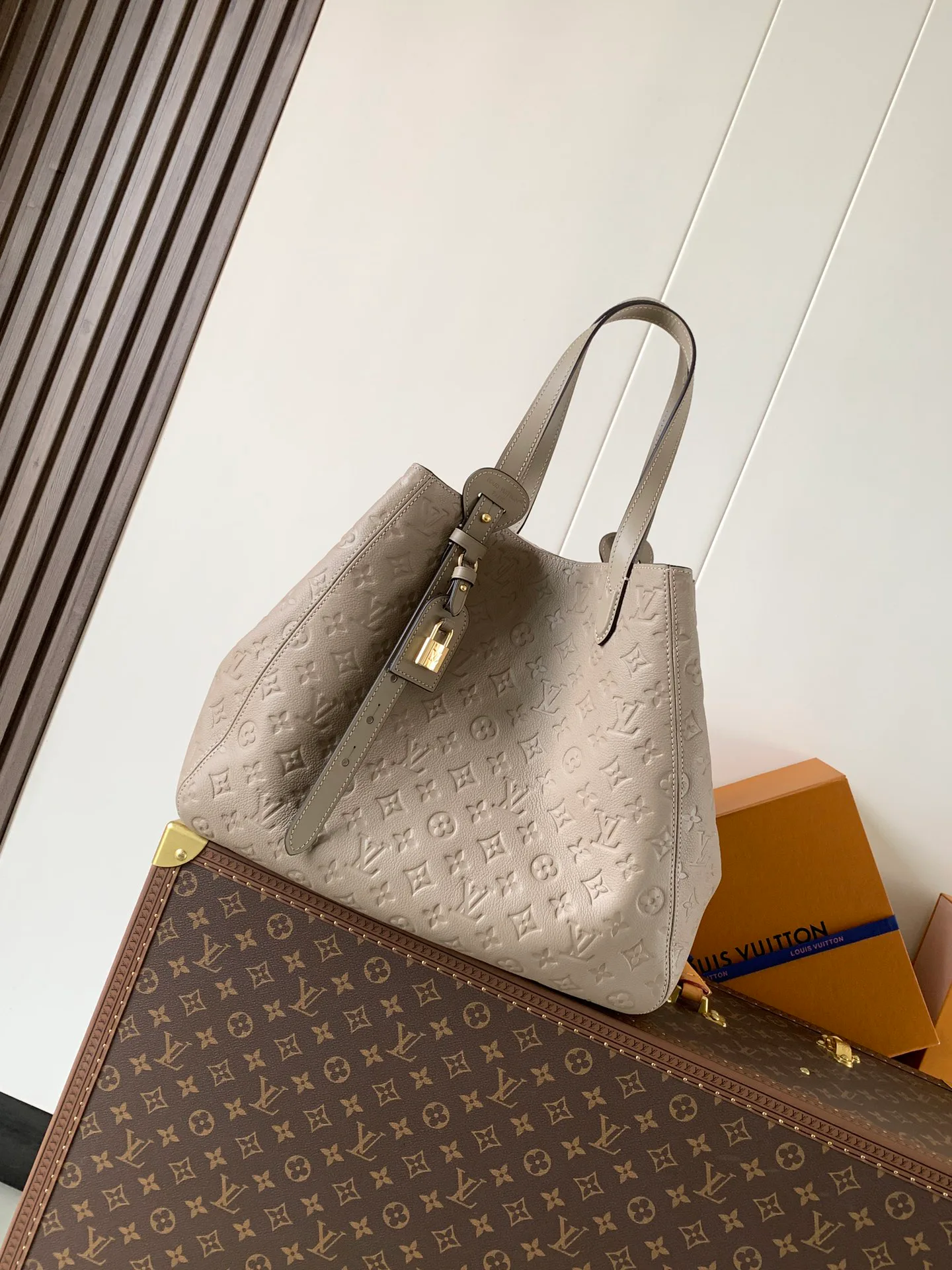 Классические Сумки Женские Louis Vuitton 11872296