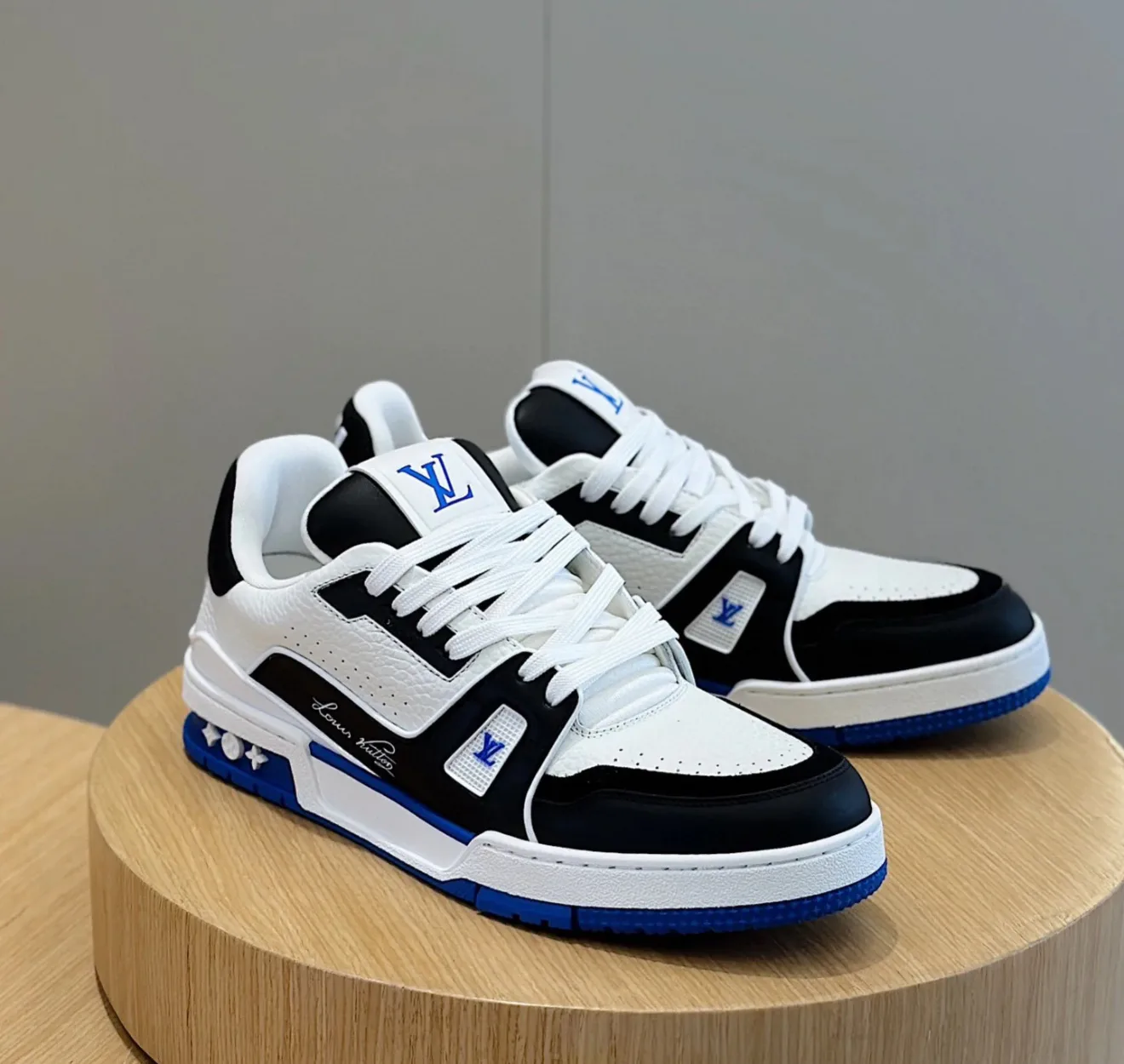 Кеды Мужские Louis Vuitton 3165