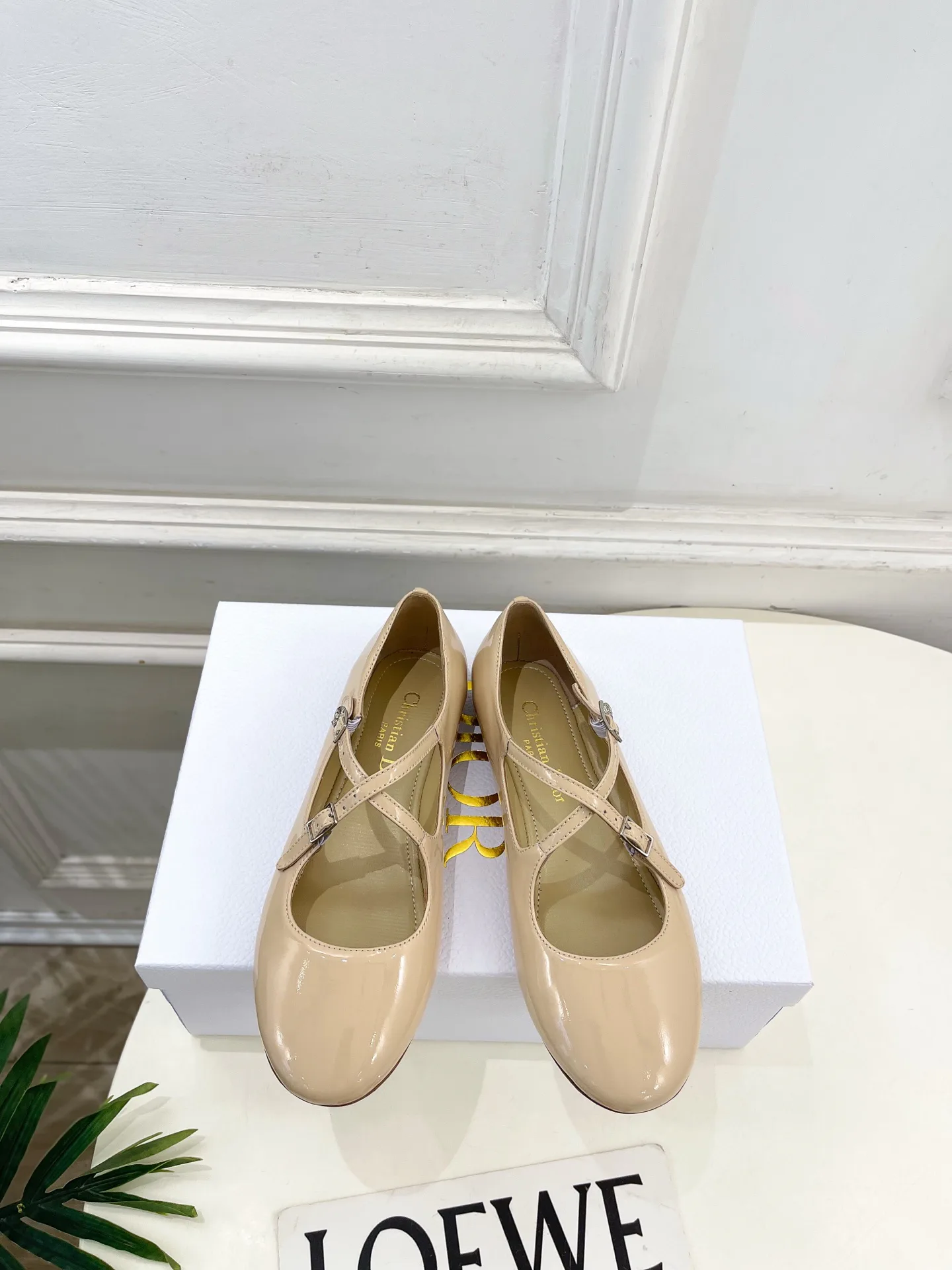 Балетки Женские Christian Dior 12601471