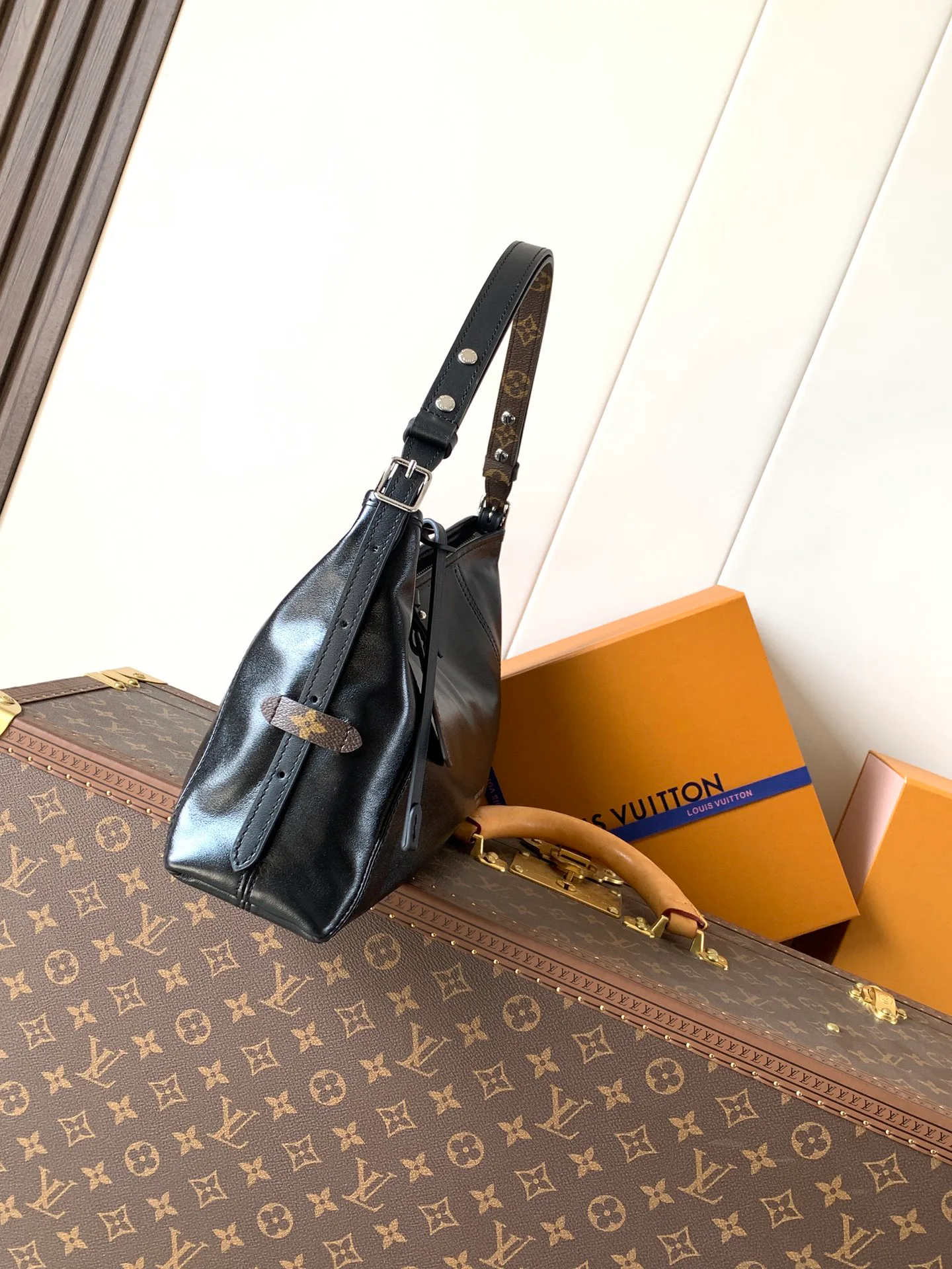 Классические Сумки Женские Louis Vuitton 11619855