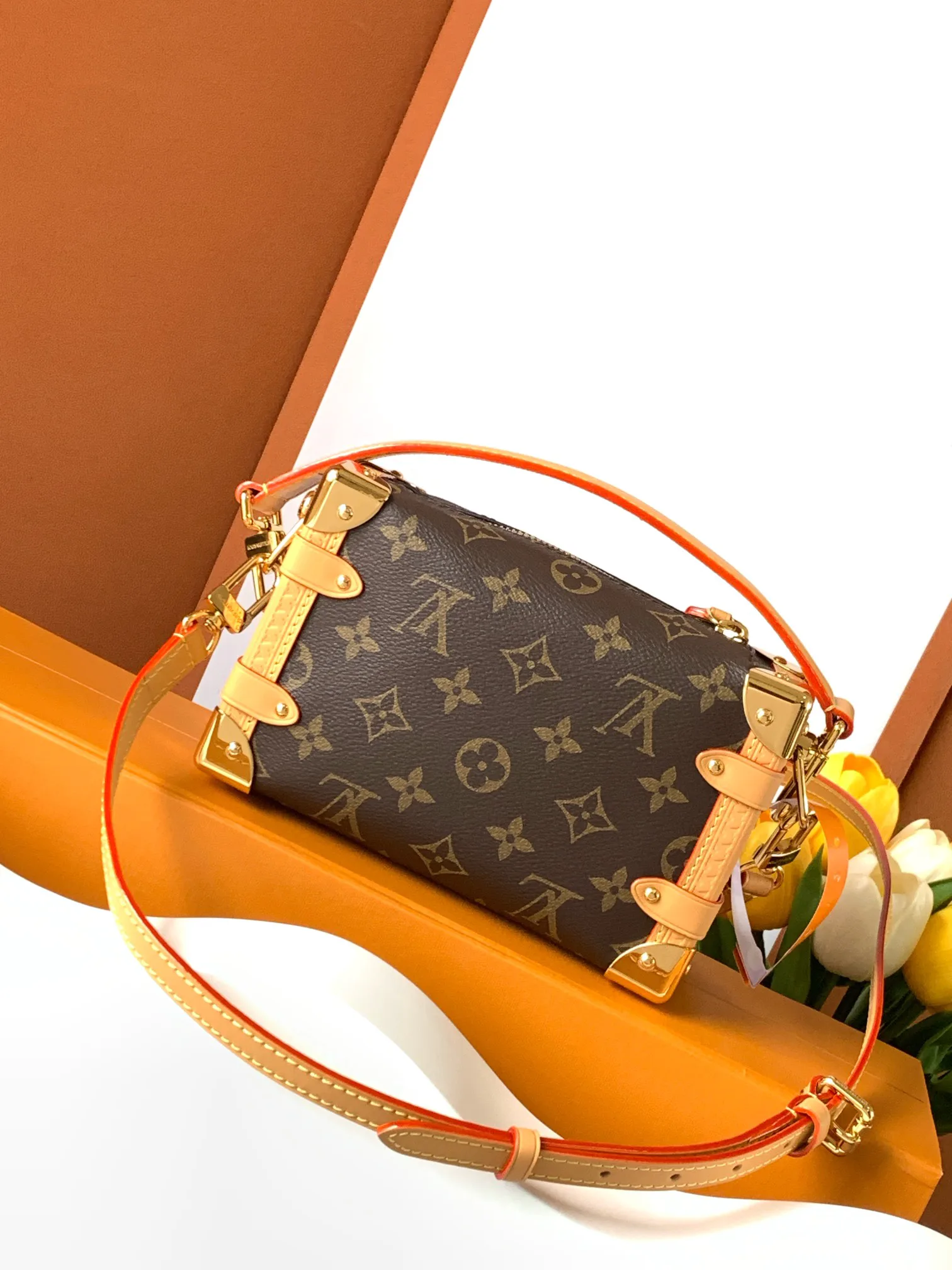 Классические Сумки Женские Louis Vuitton 13394400