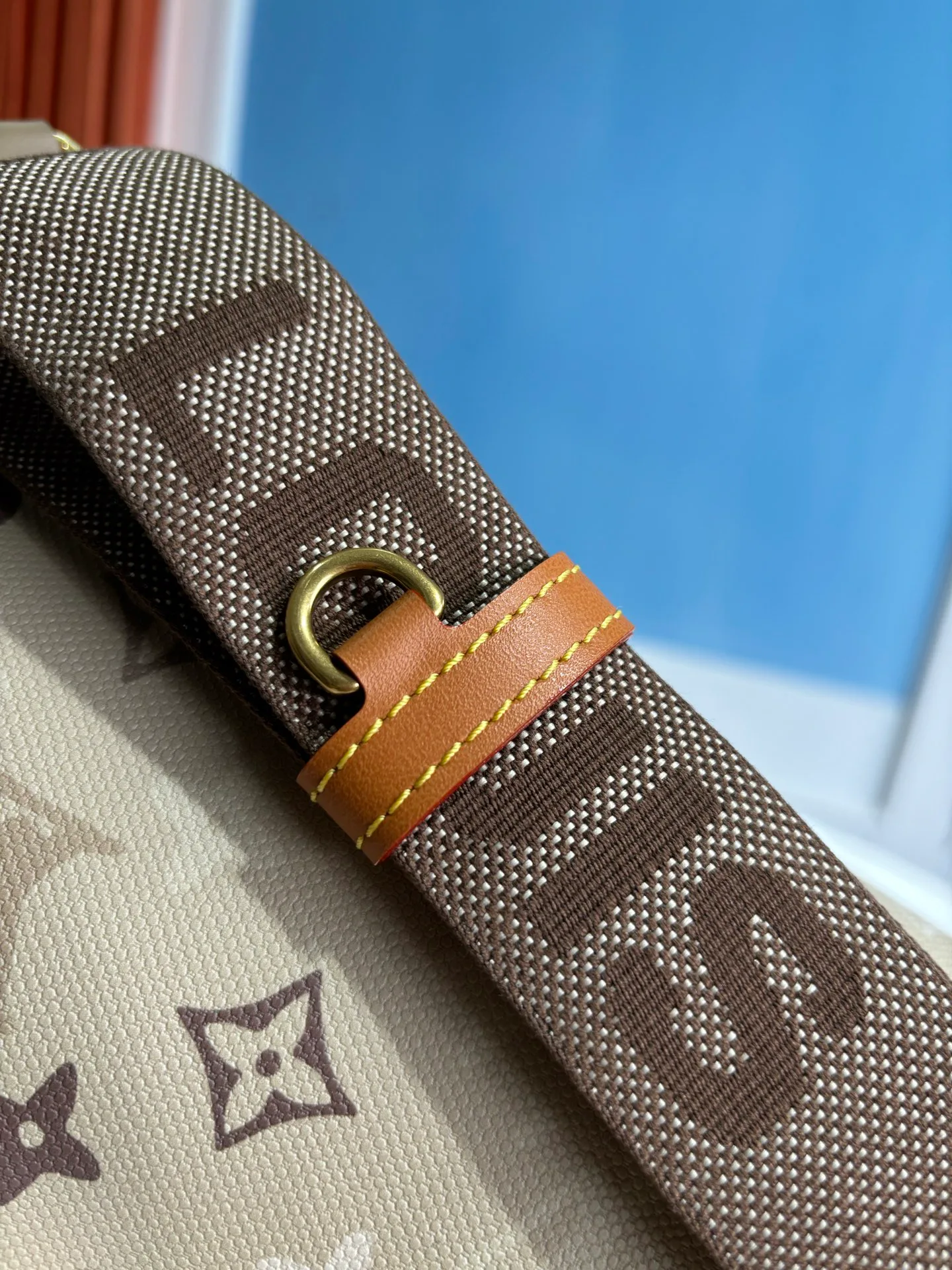 Поясные Сумки Женские Louis Vuitton 14428736