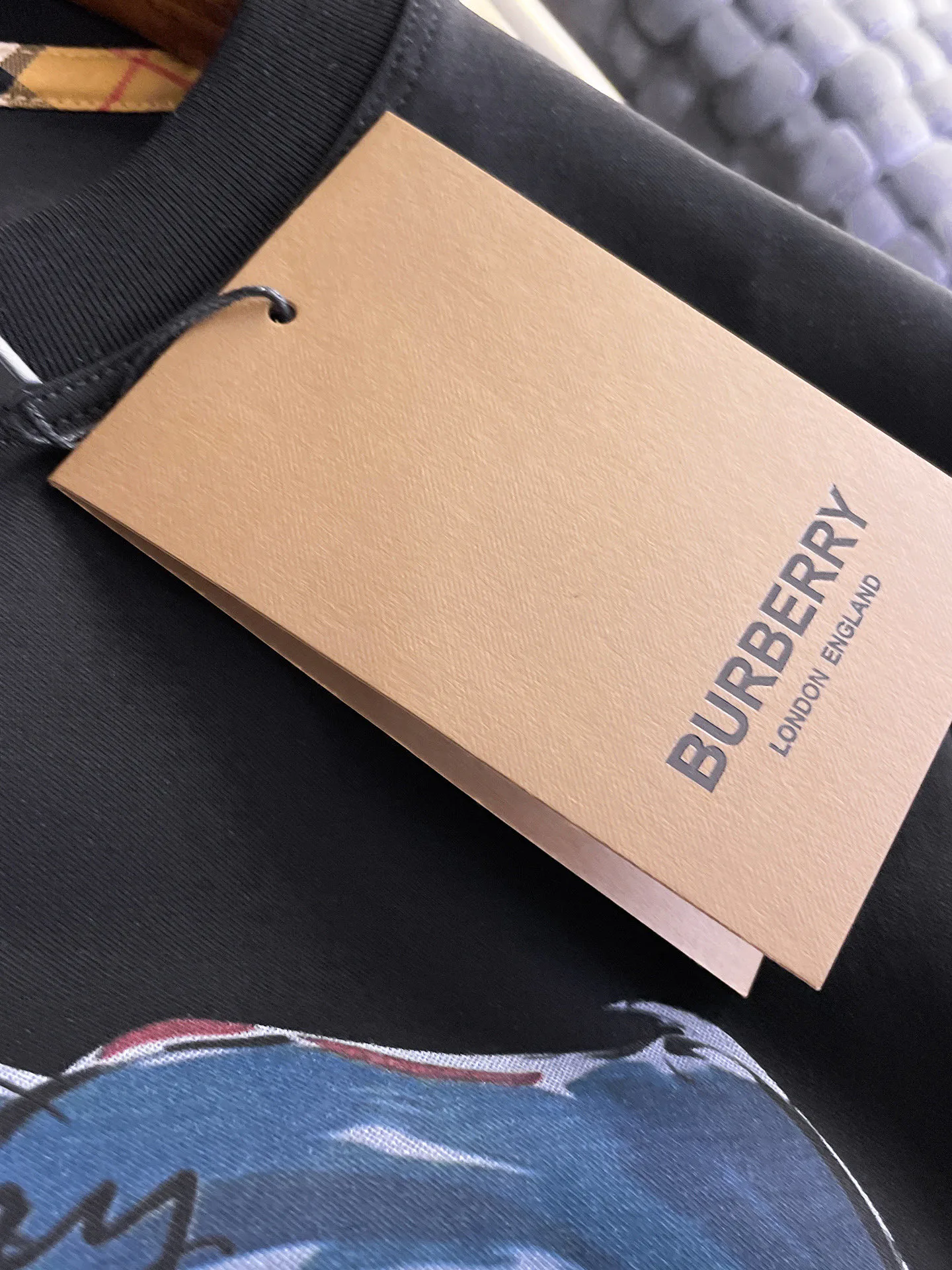 Футболки Мужские Burberry 17579797