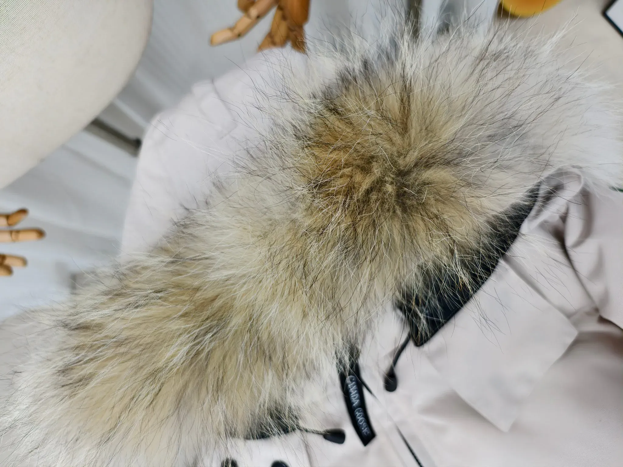 Куртки И Пуховики Женские Canada Goose 3612917