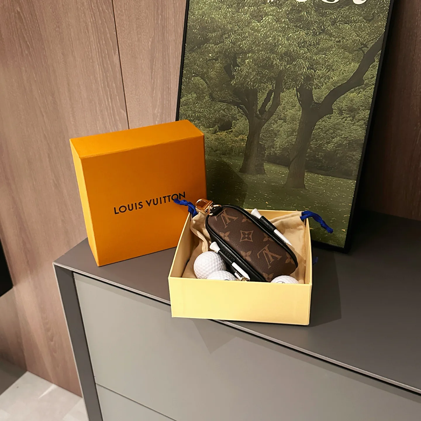 Поясные Сумки Женские Louis Vuitton 11272266