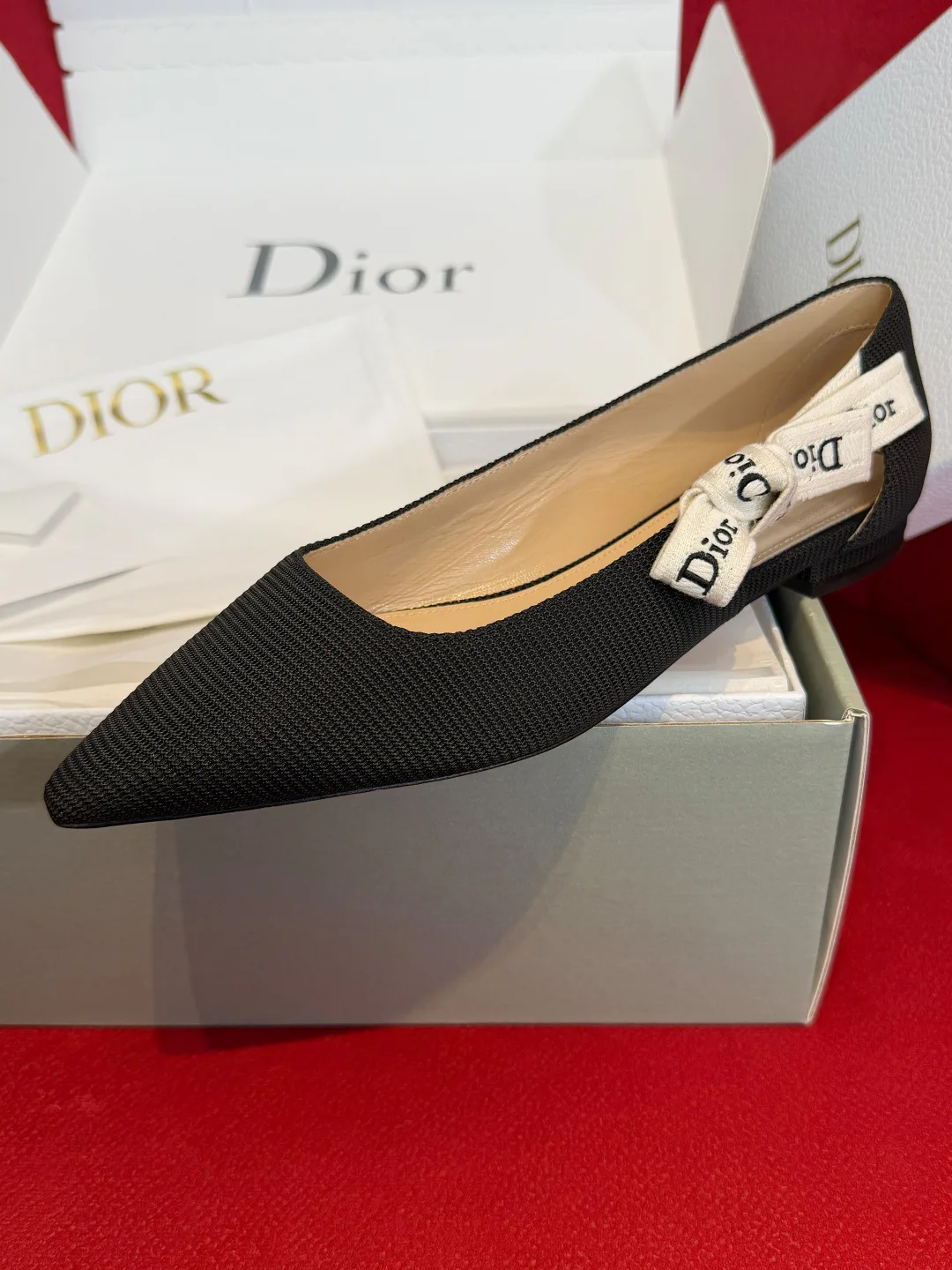 Туфли Женские Christian Dior 13569602