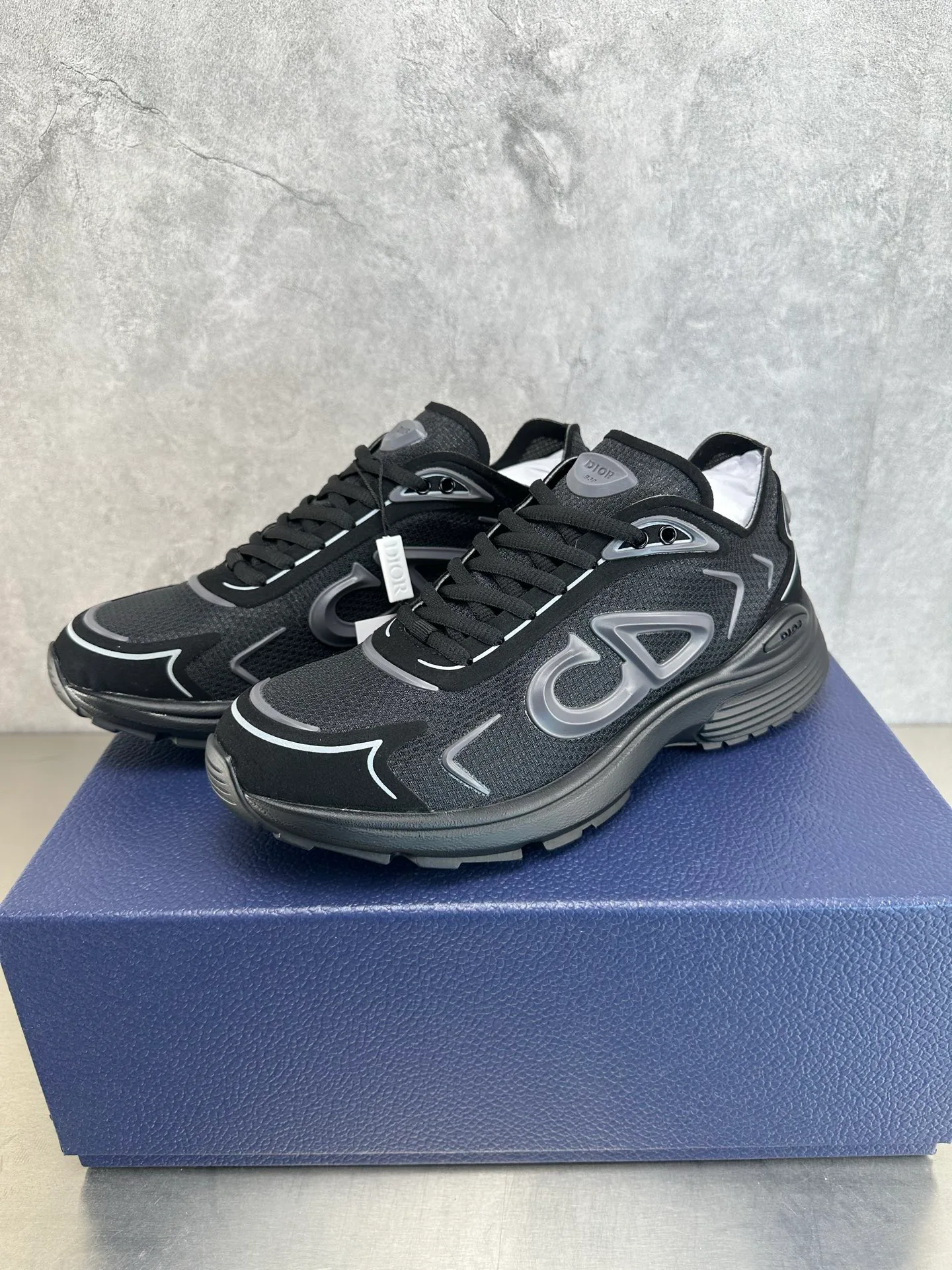 Кроссовки Мужские Christian Dior 1862021