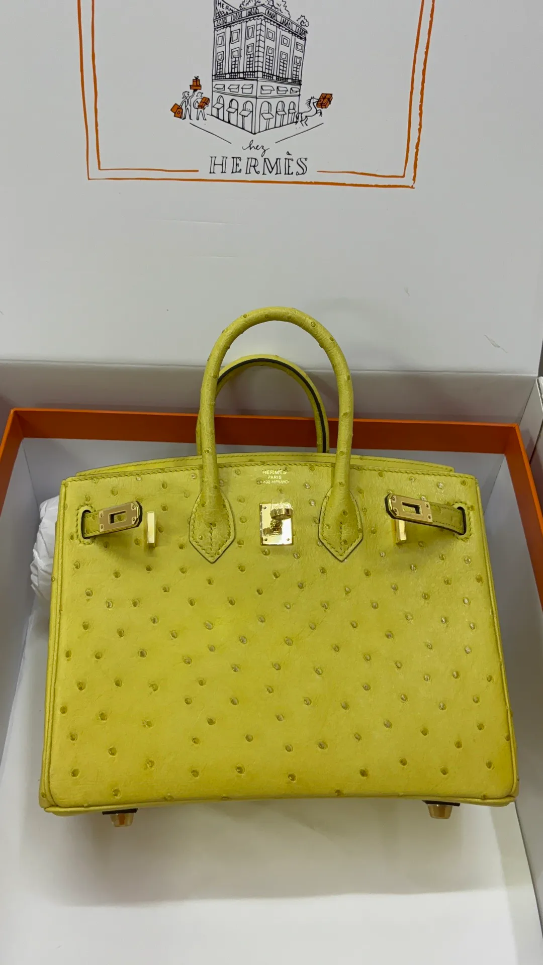 Классические Сумки Женские Hermes 16859075