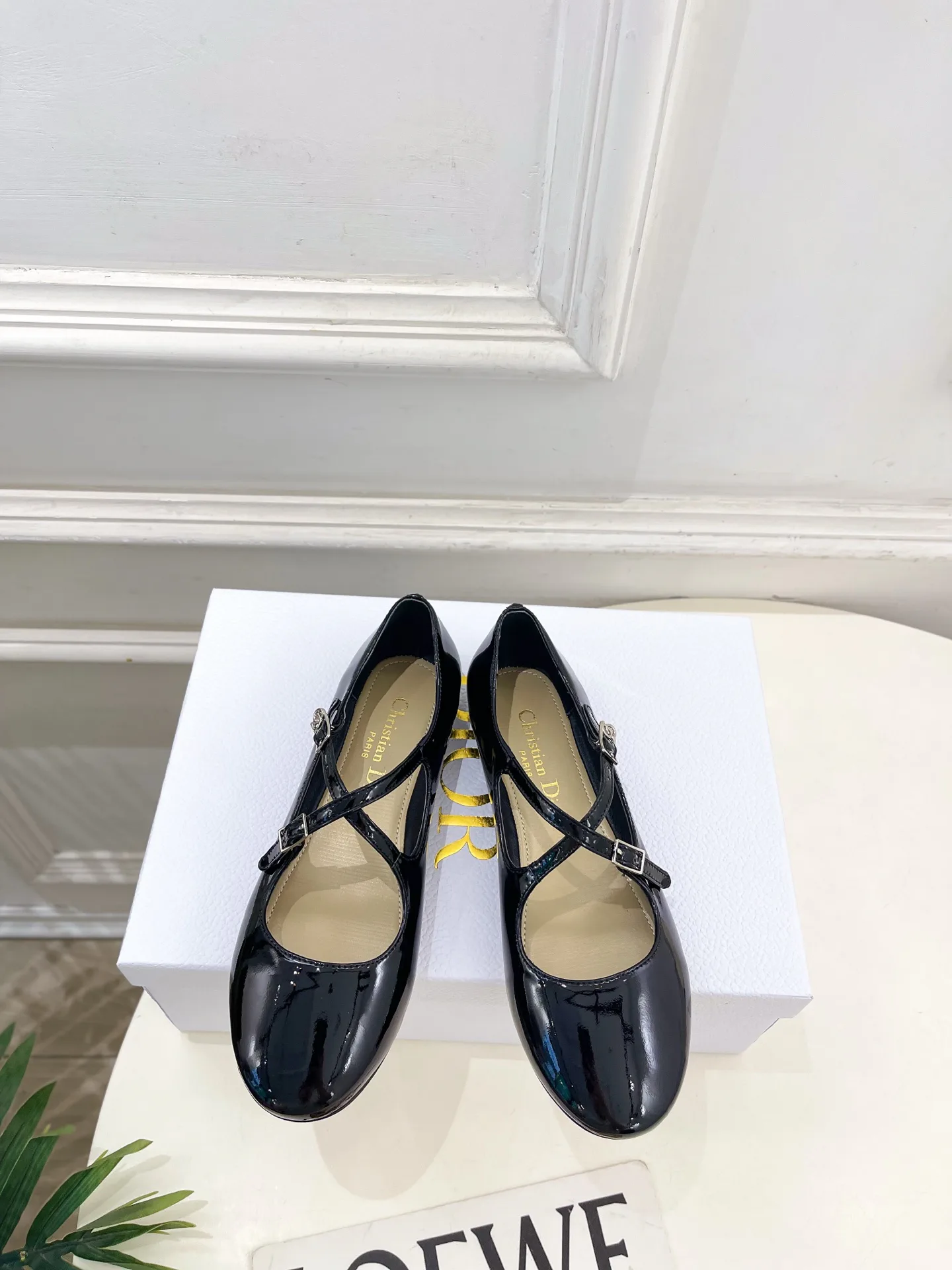 Балетки Женские Christian Dior 12601473