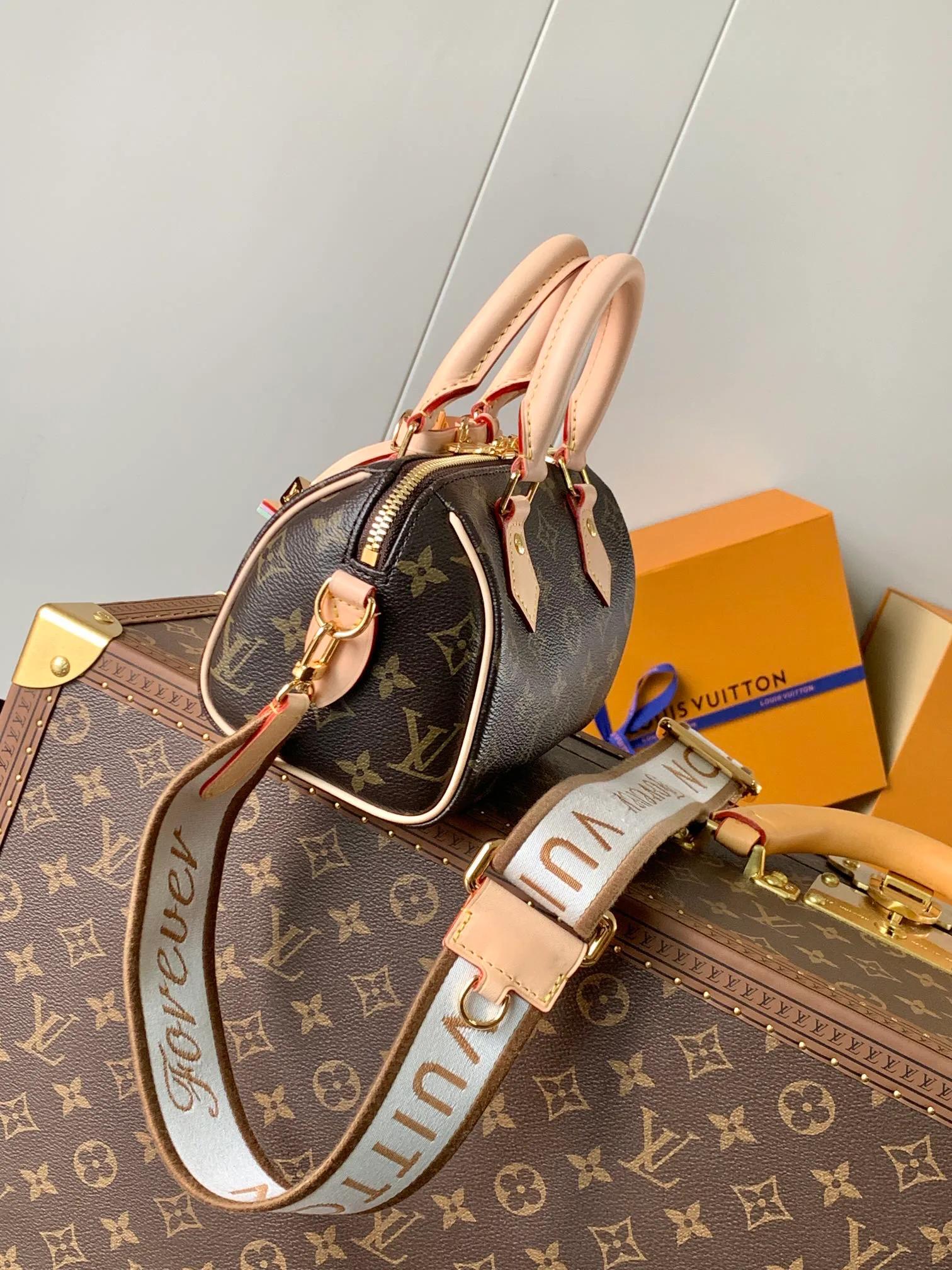 Клатчи Женские Louis Vuitton 11488647