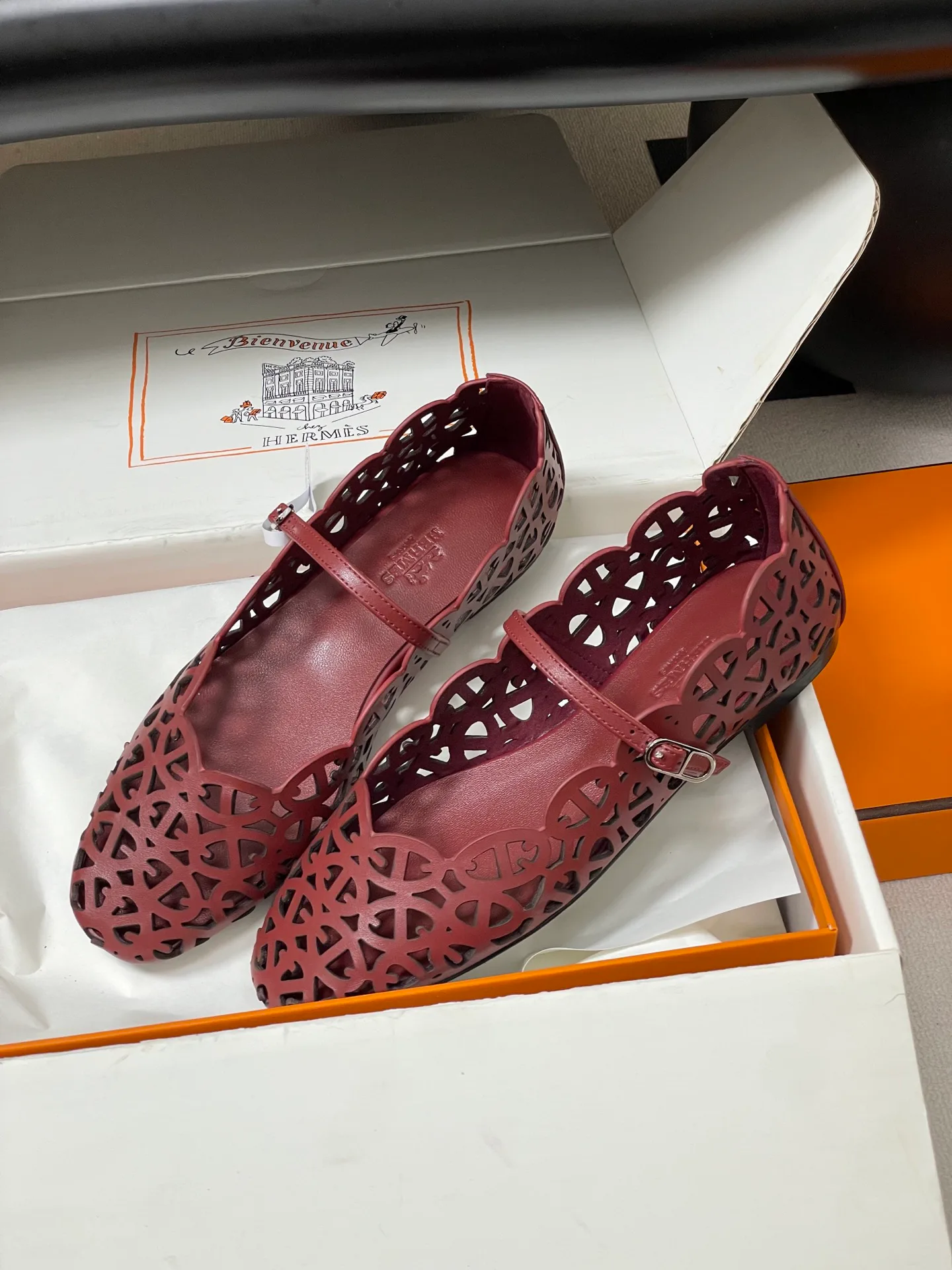 Балетки Женские Hermes 17558038
