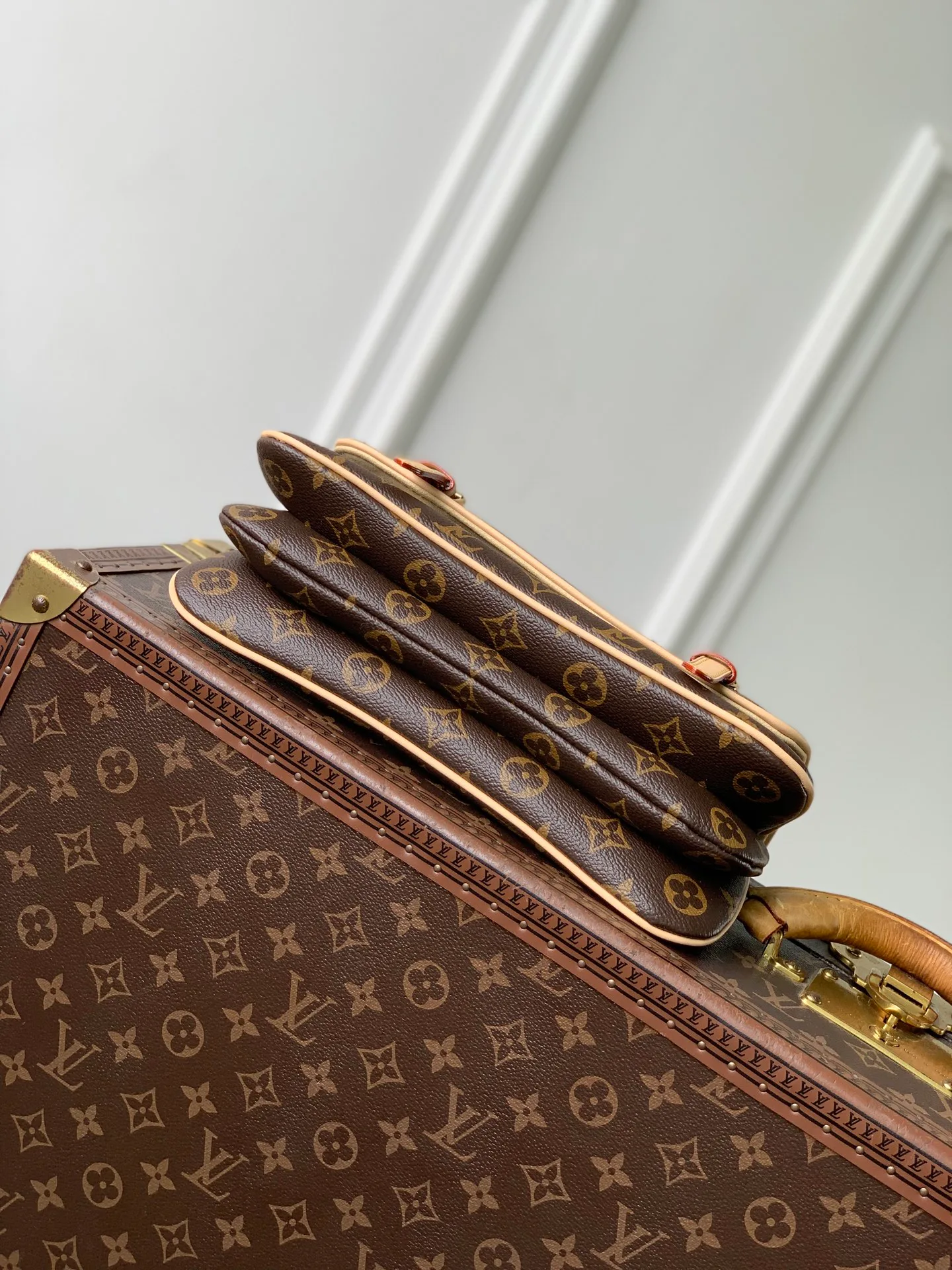 Классические Сумки Женские Louis Vuitton 18147432