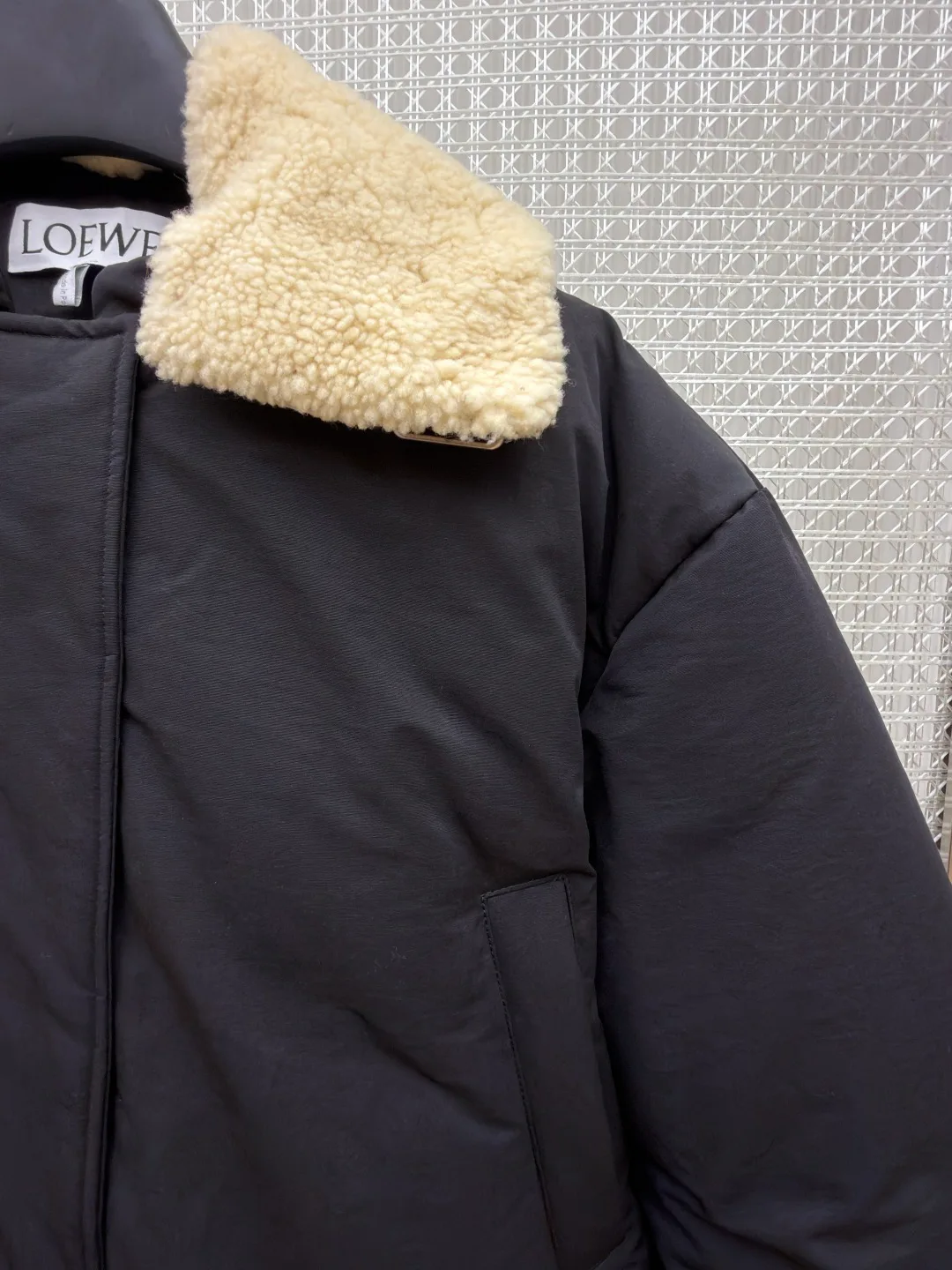 Куртки И Пуховики Женские Loewe 18612878