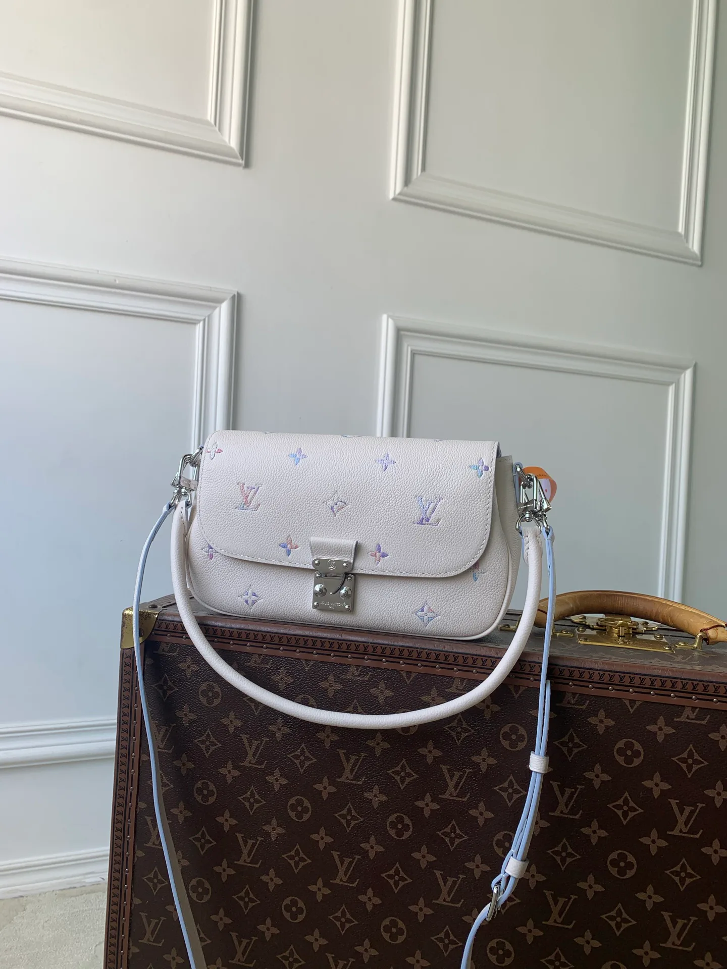 Классические Сумки Женские Louis Vuitton 18147480
