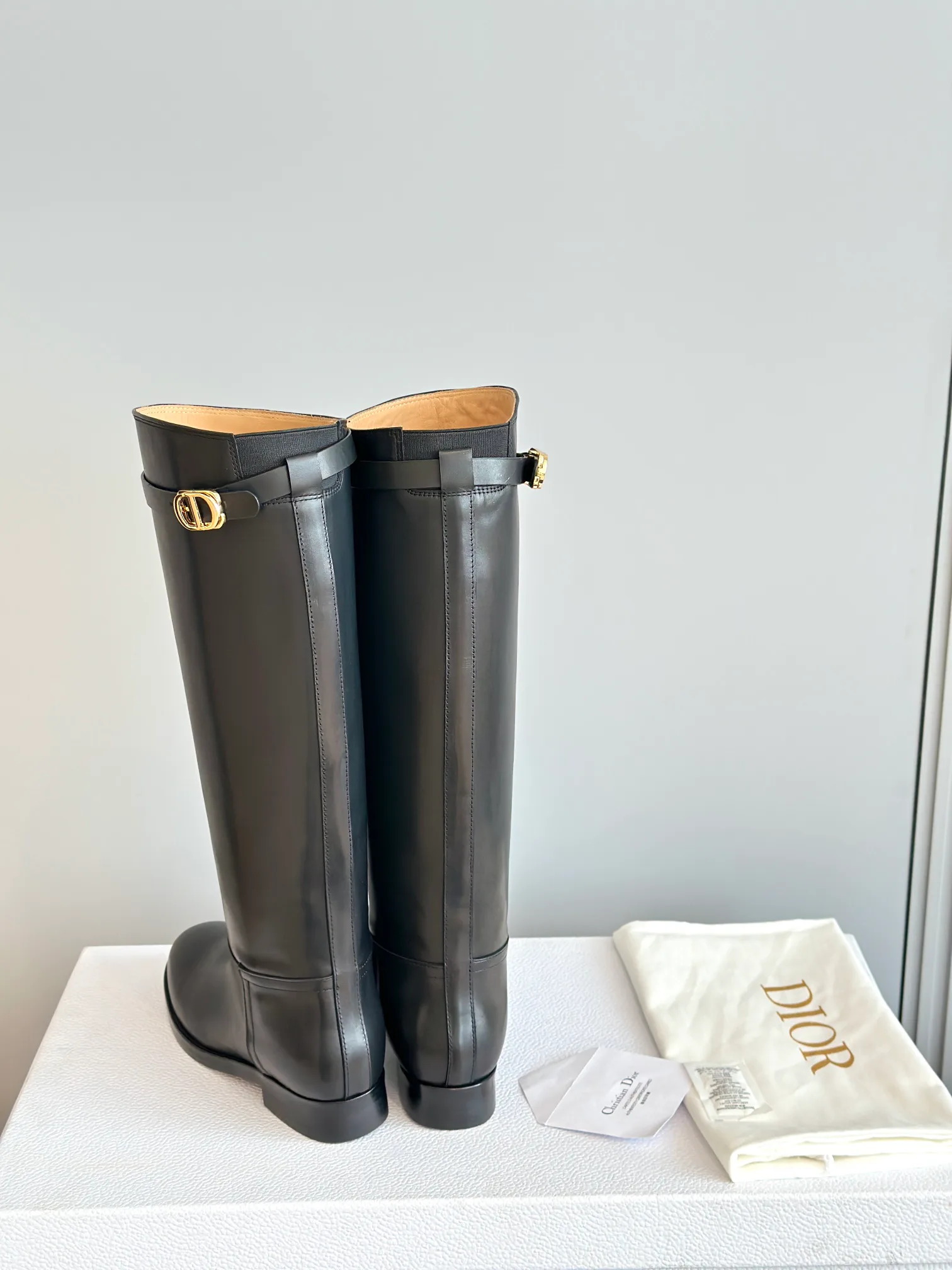 Сапоги Женские Christian Dior 18243654