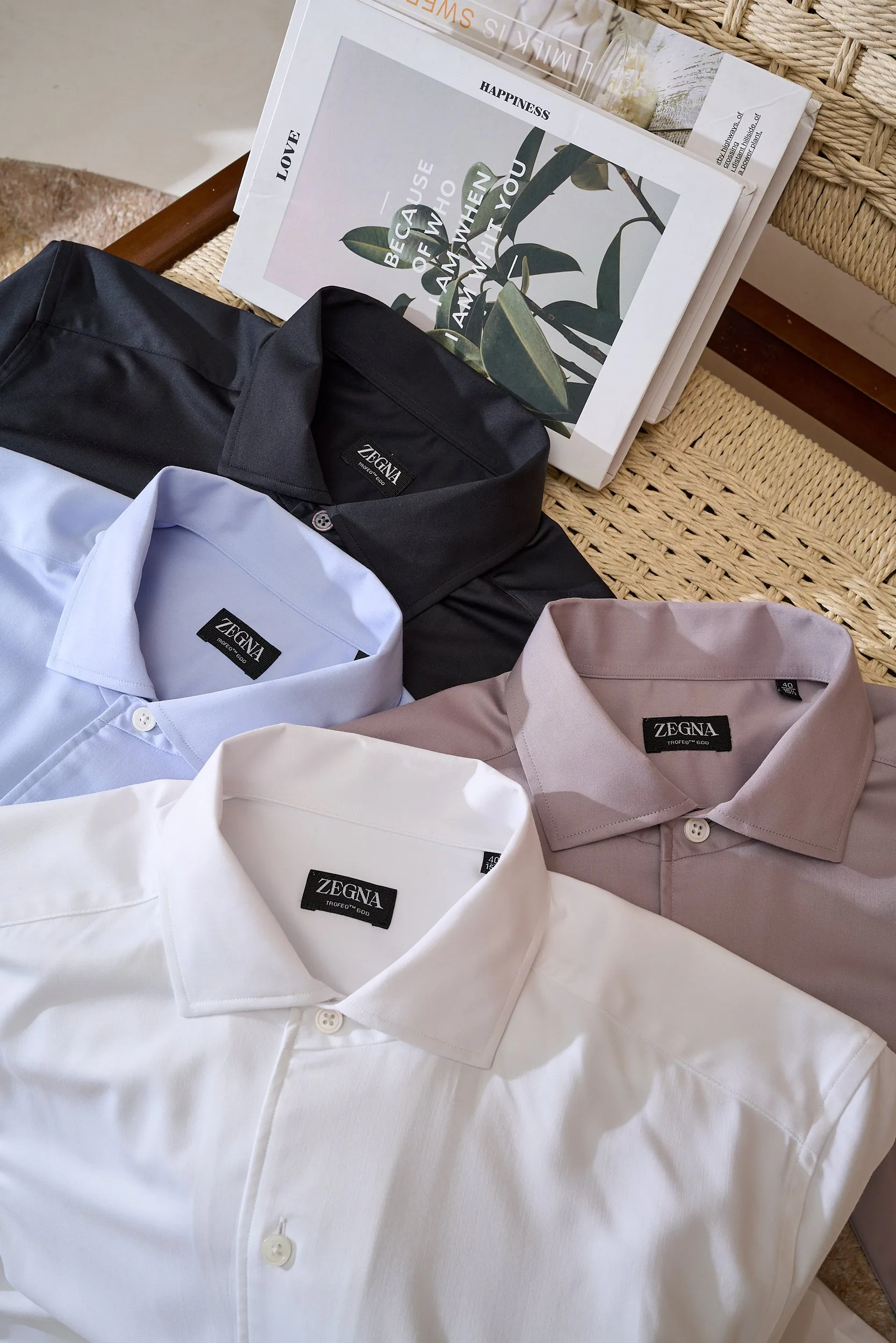 Рубашки Мужские Zegna 18509981