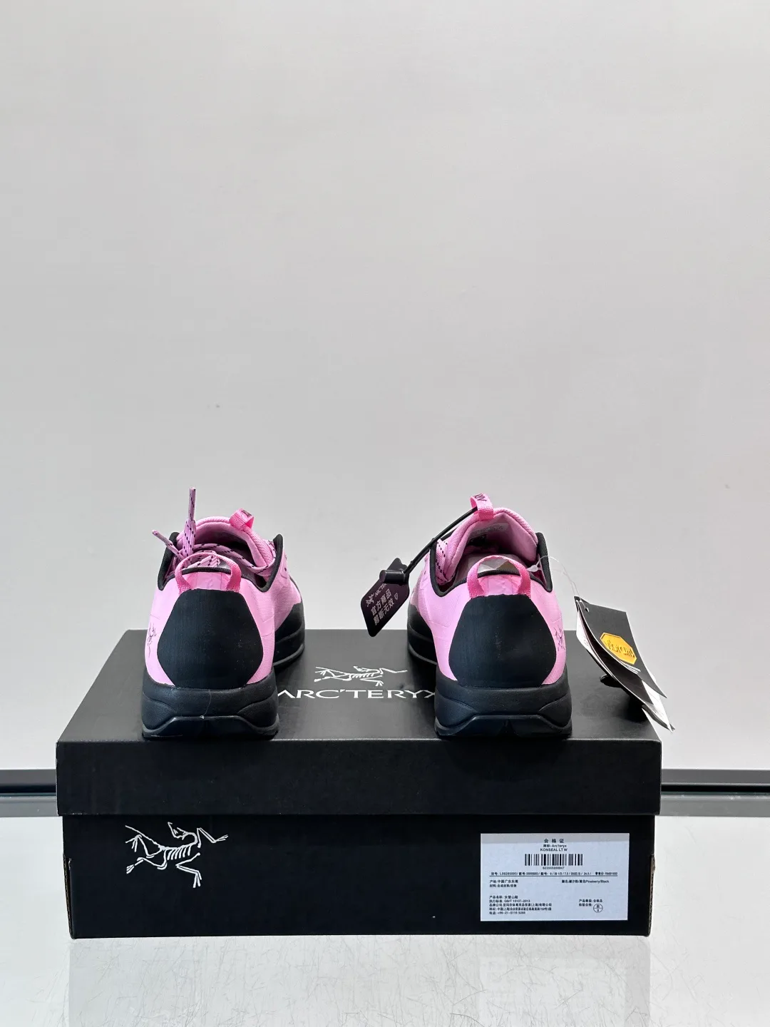 Кроссовки Женские Arcteryx 16883822