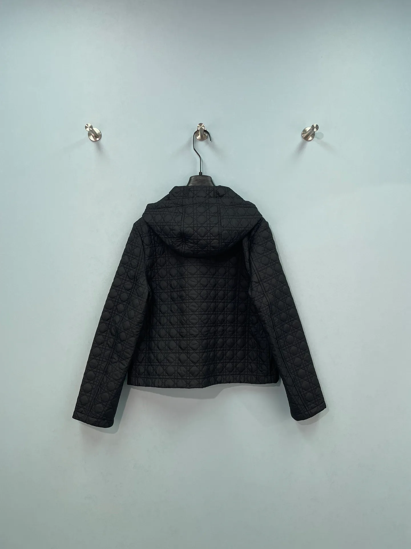 Куртки И Пуховики Женские Christian Dior 17657353