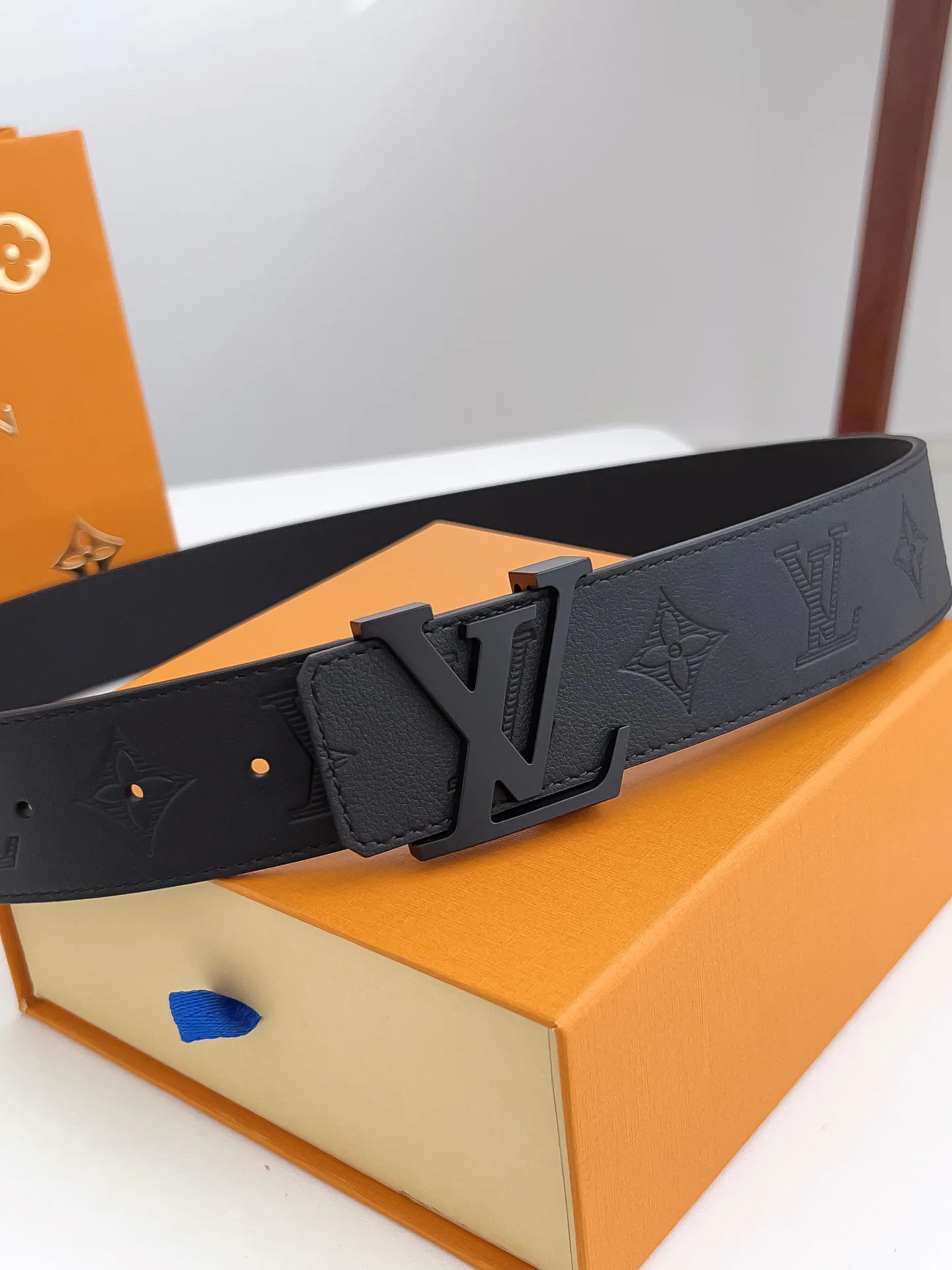 Поясные Сумки Женские Louis Vuitton 724070