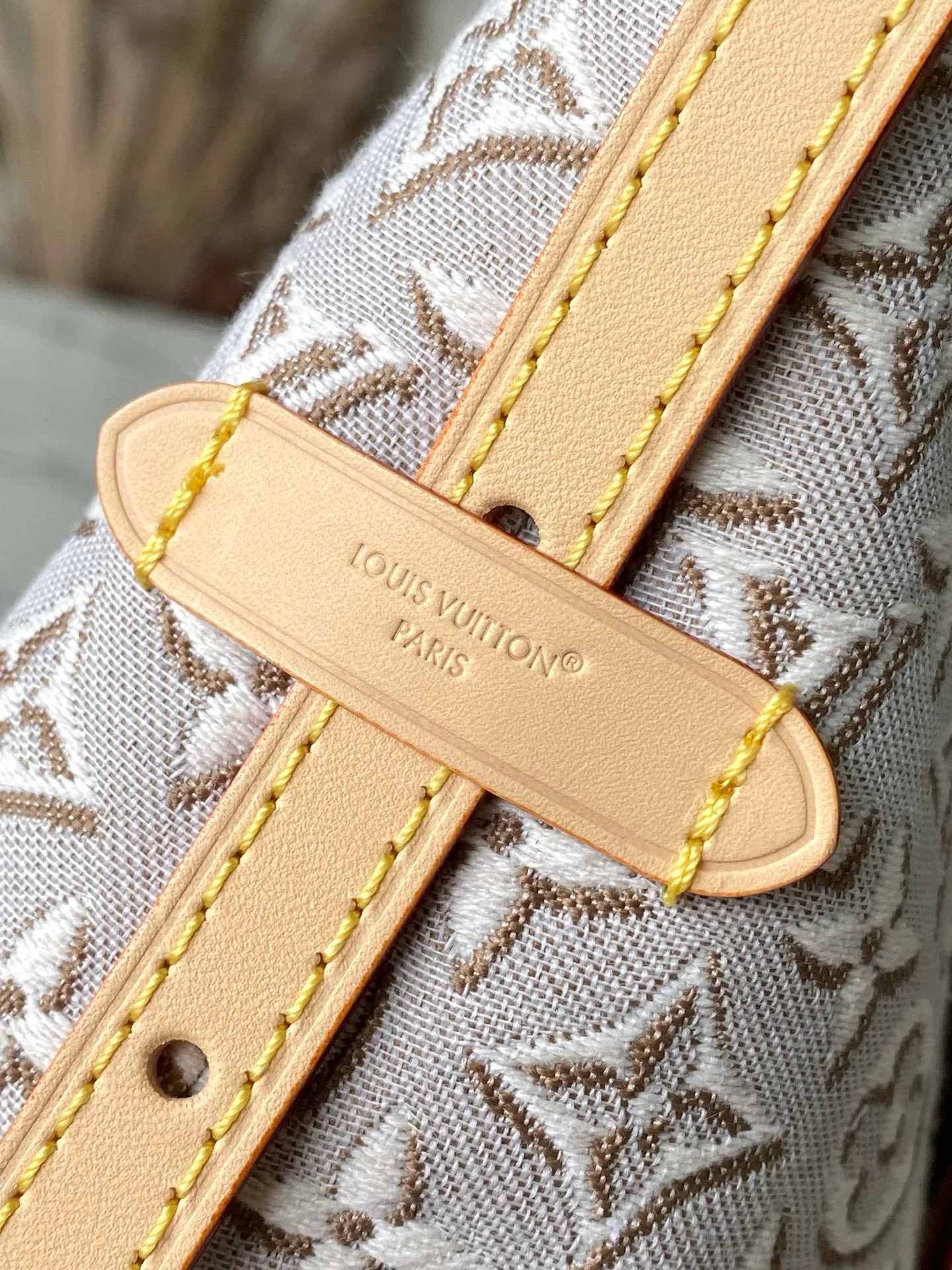 Классические Сумки Женские Louis Vuitton 17795984
