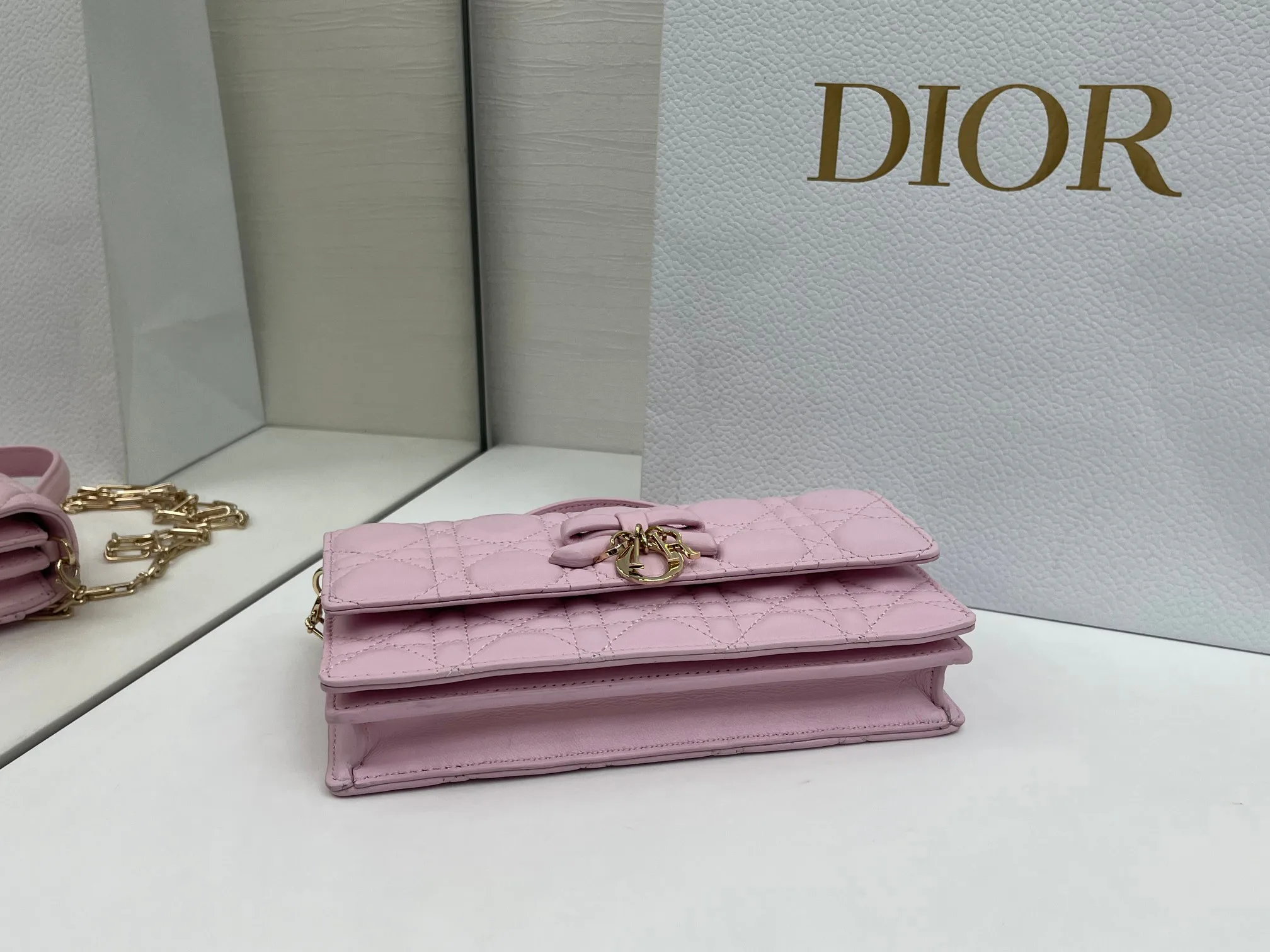Классические Сумки Женские Christian Dior 11669067