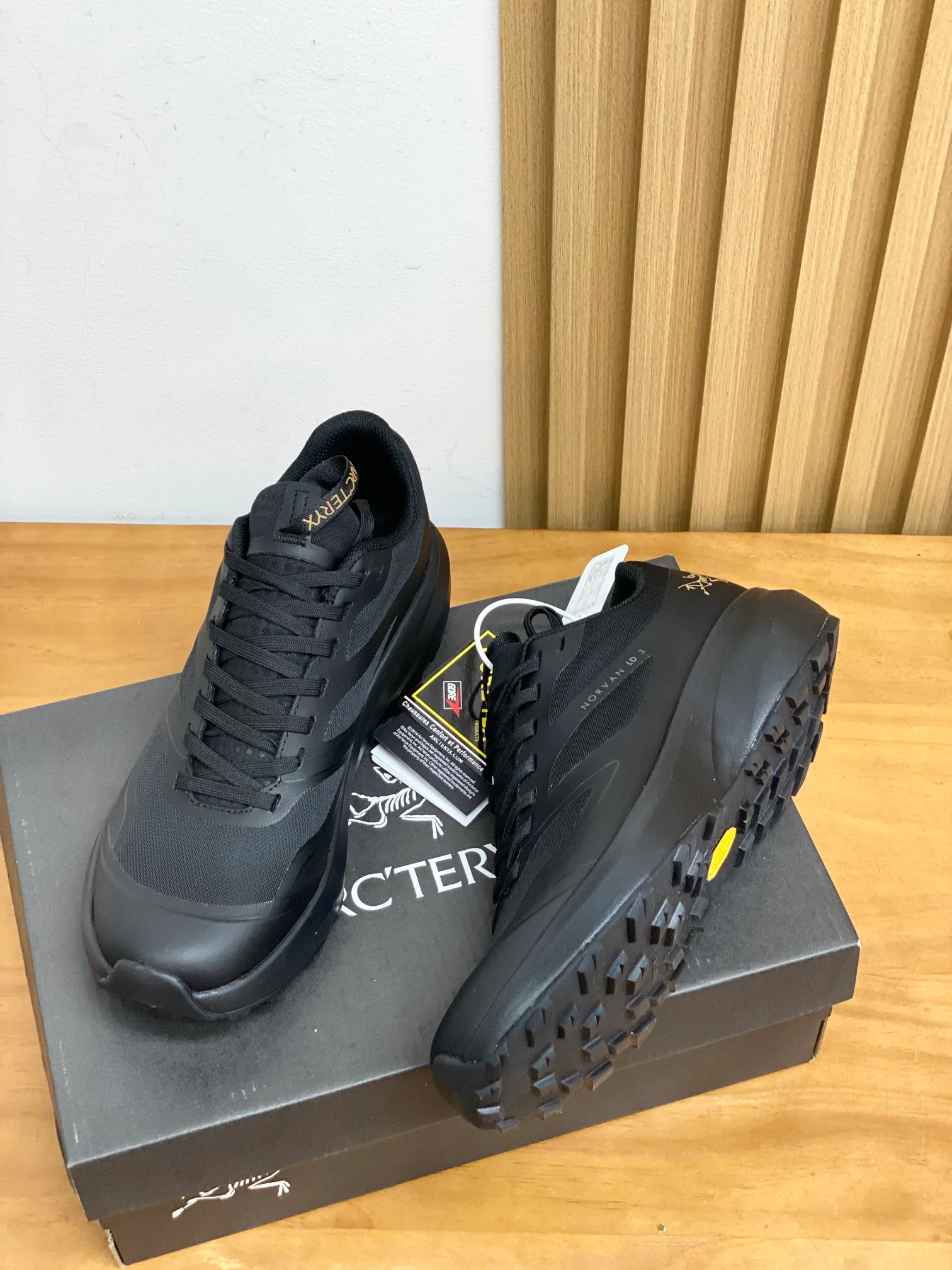 Кроссовки Женские Arcteryx