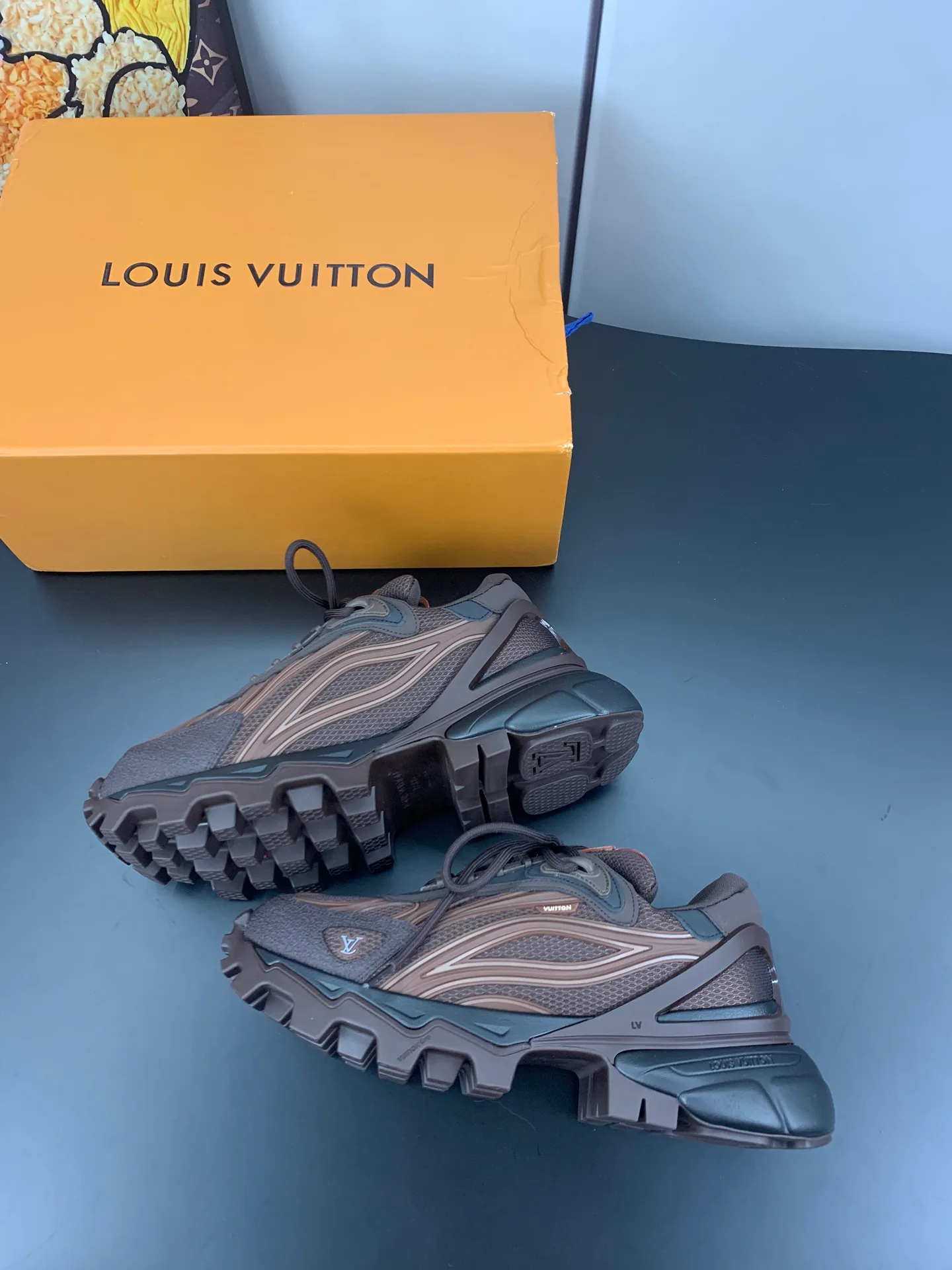 Кроссовки Мужские Louis Vuitton 17545293