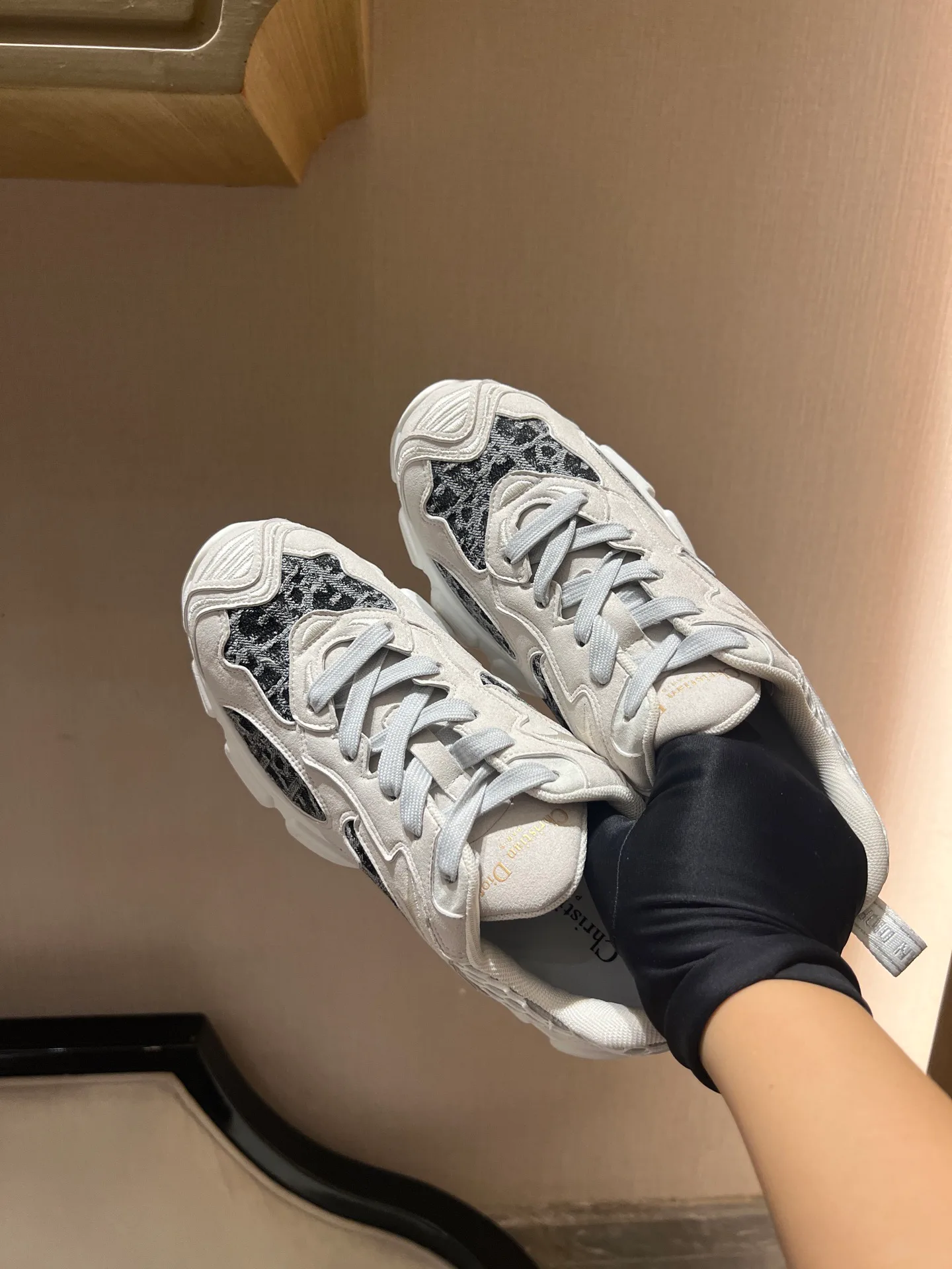 Кроссовки Женские Christian Dior 18020279