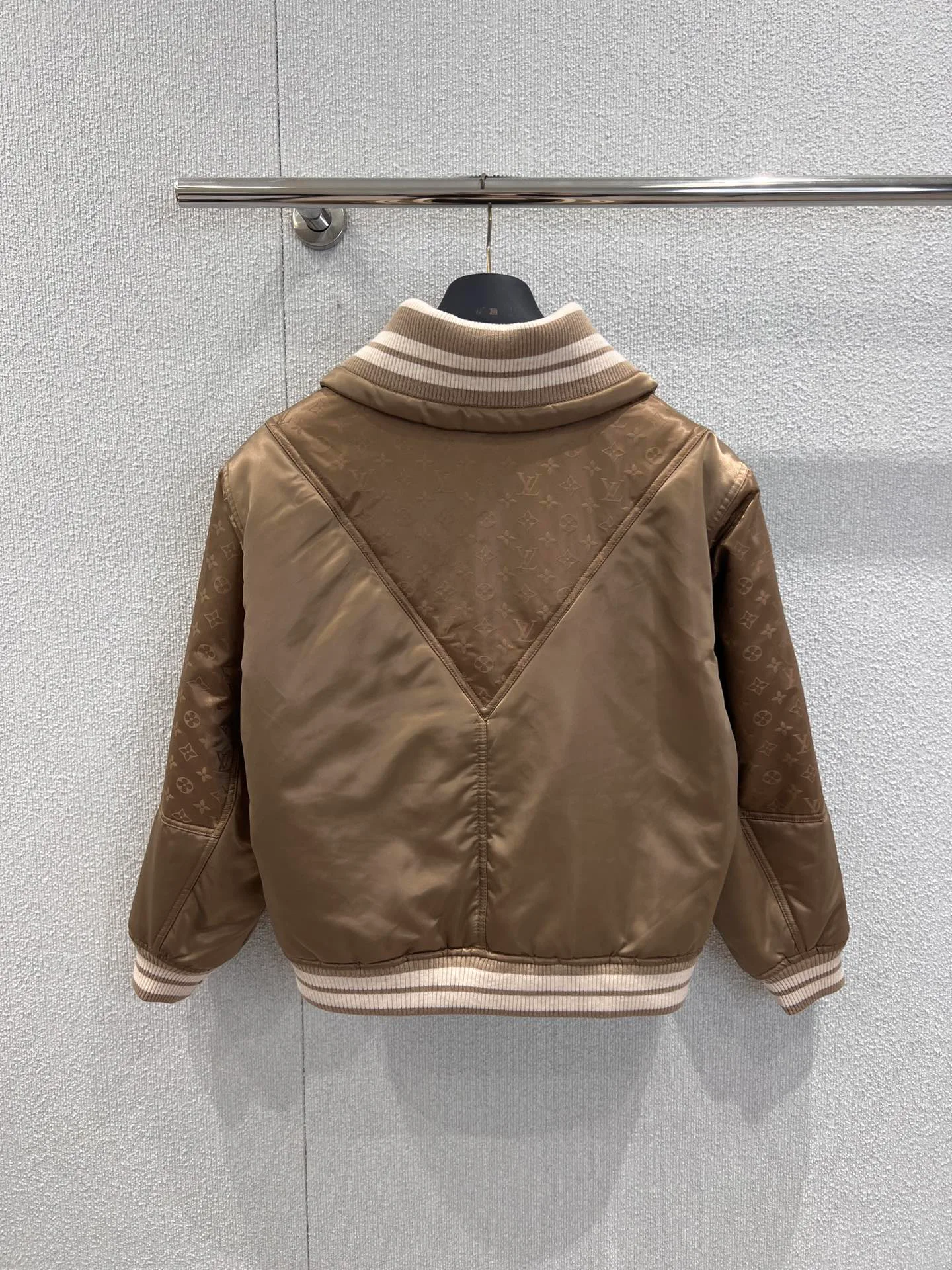 Куртки И Пуховики Женские Louis Vuitton 503257