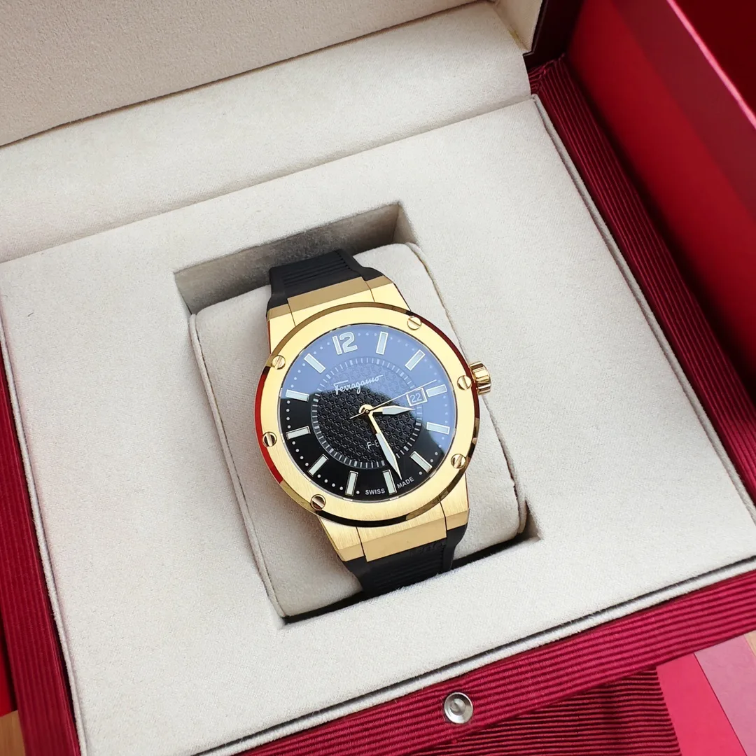 Часы Мужские Salvatore Ferragamo 1284242